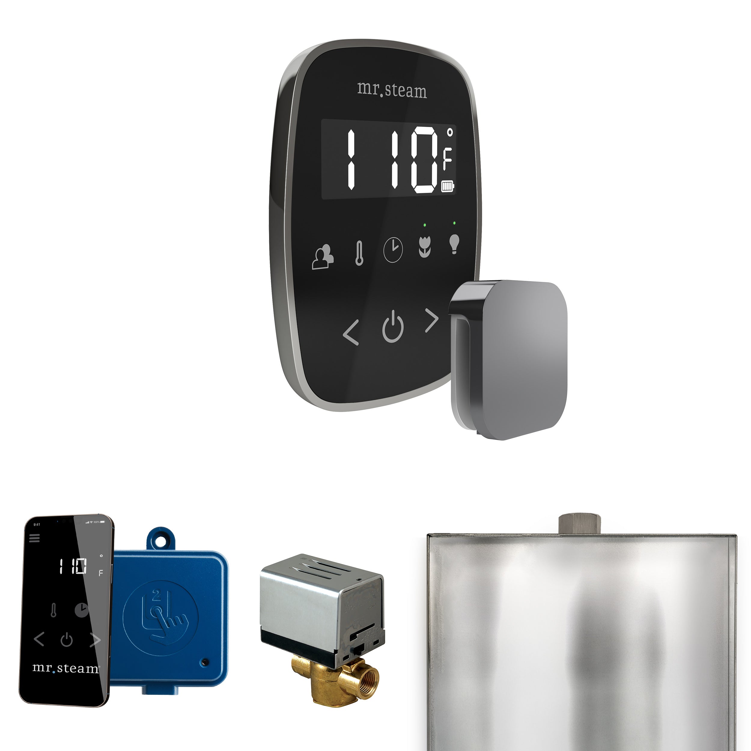 Mr Steam ButlerFlex Steam Shower Control Package with TempoFlex Control and Steamhead