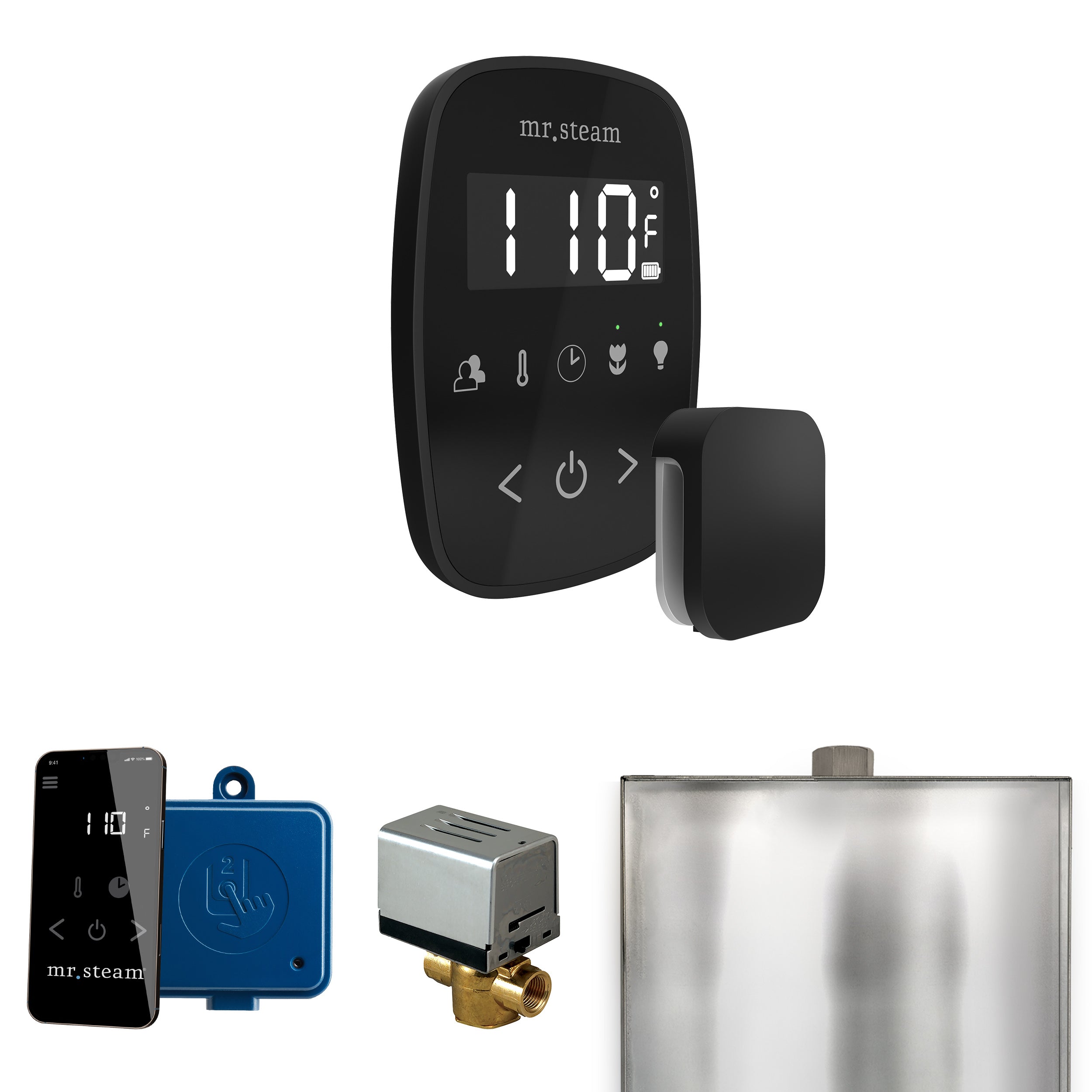 Mr Steam ButlerFlex Steam Shower Control Package with TempoFlex Control and Steamhead