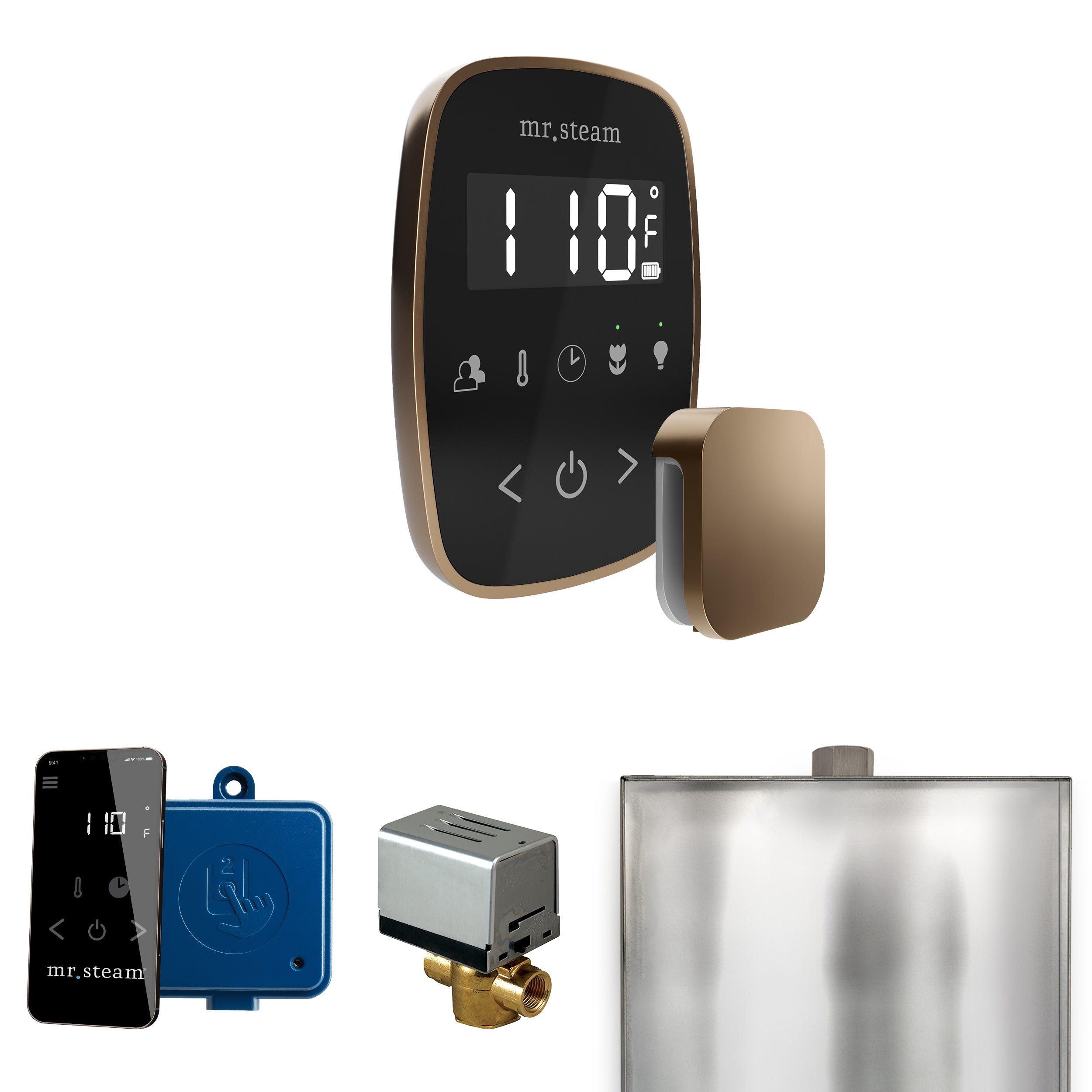 Mr Steam ButlerFlex Steam Shower Control Package with TempoFlex Control and Steamhead