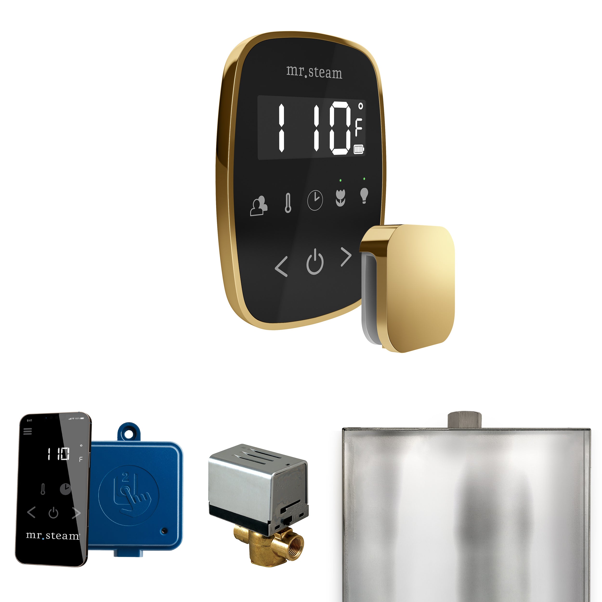 Mr Steam ButlerFlex Steam Shower Control Package with TempoFlex Control and Steamhead