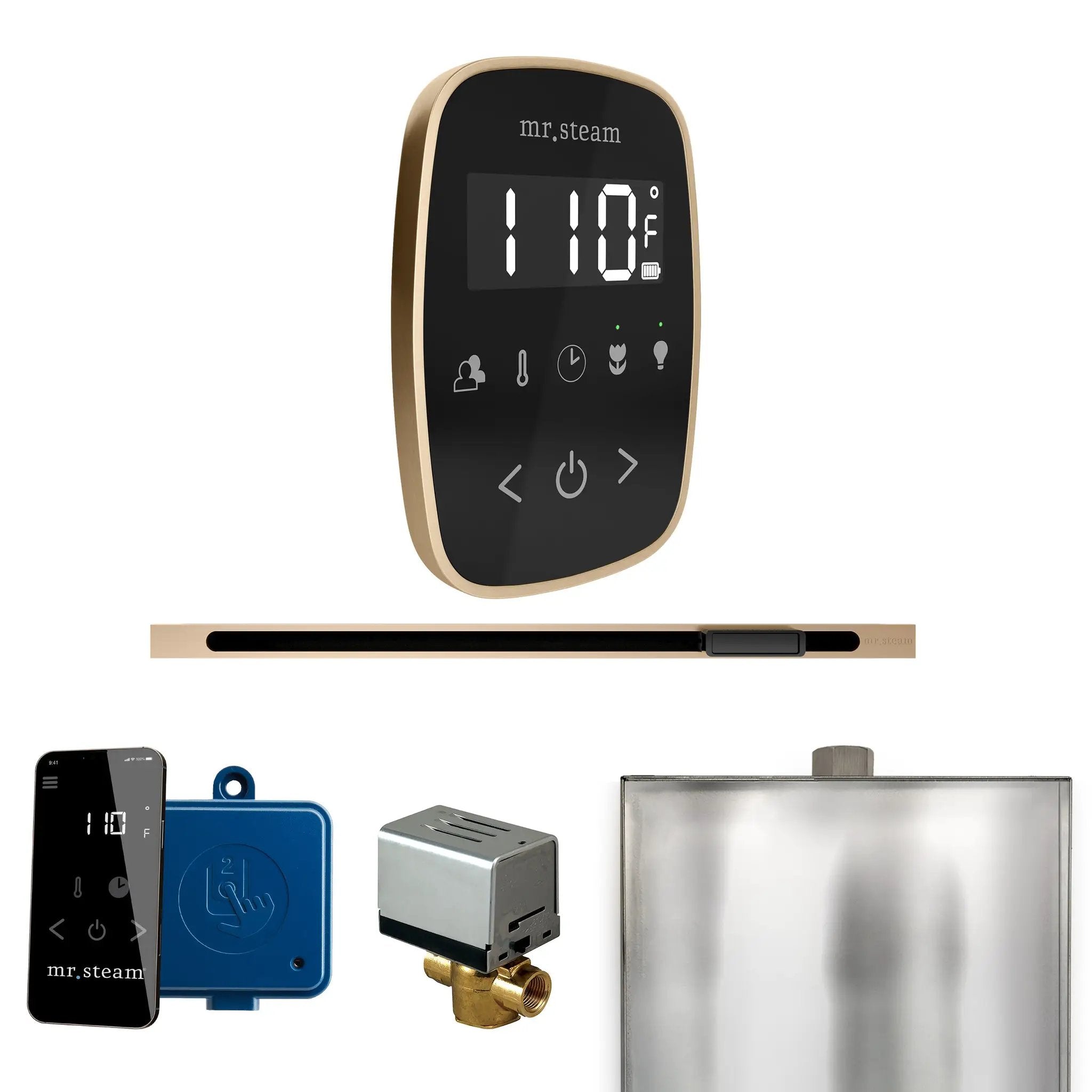 Mr Steam ButlerFlex Steam Shower Control Package with TempoFlex Control and Linear Steamhead by Mr Steam