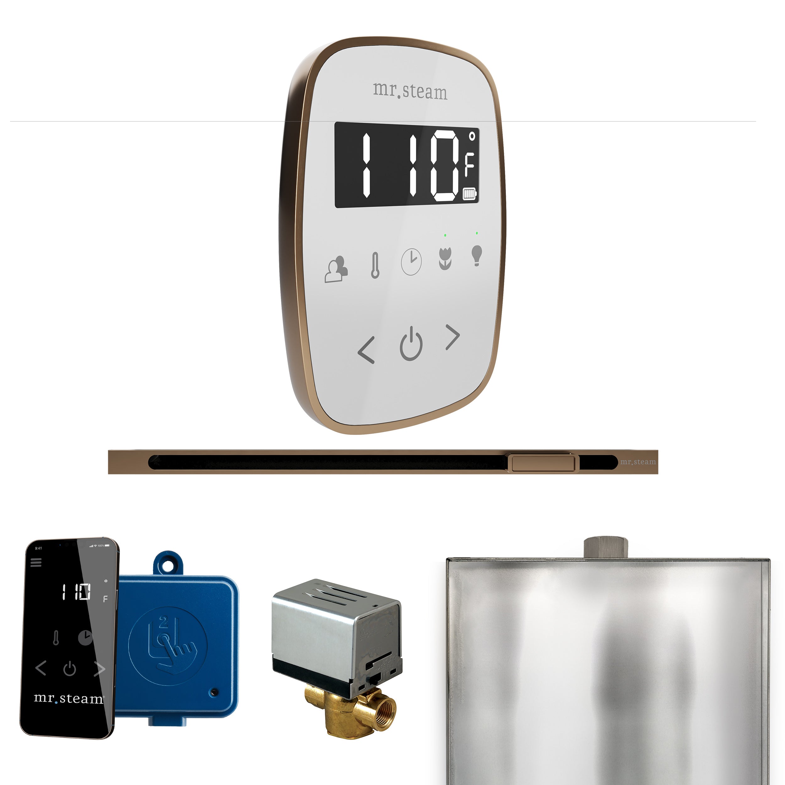 Mr Steam ButlerFlex Steam Shower Control Package with TempoFlex Control and Linear Steamhead