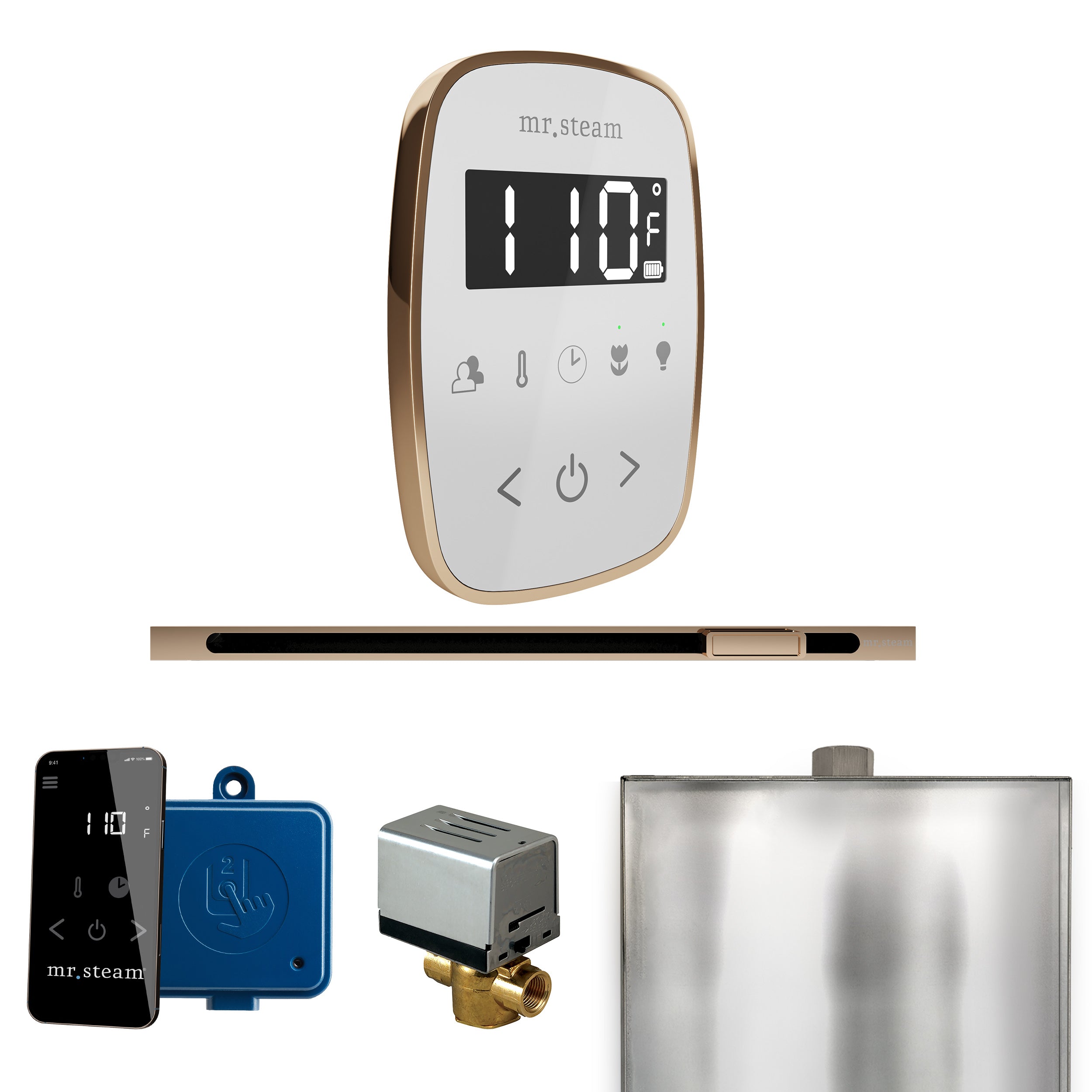 Mr Steam ButlerFlex Steam Shower Control Package with TempoFlex Control and Linear Steamhead