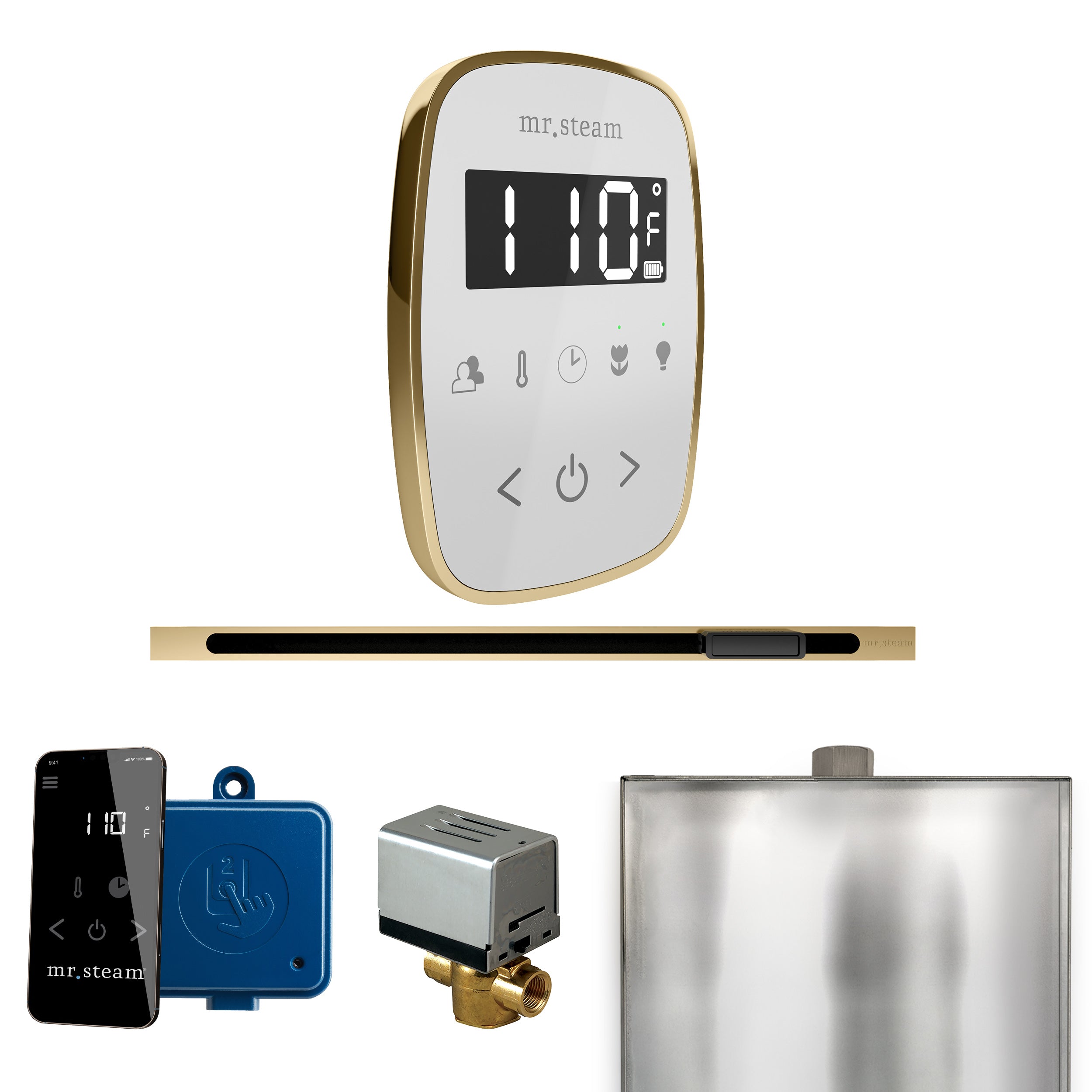 Mr Steam ButlerFlex Steam Shower Control Package with TempoFlex Control and Linear Steamhead