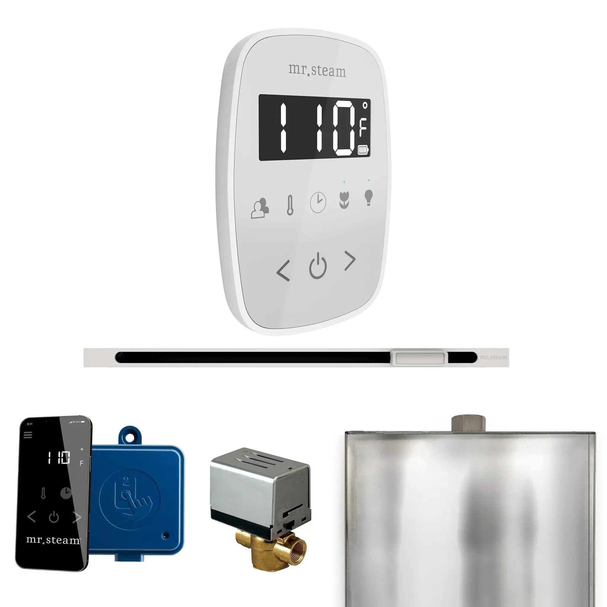 Mr Steam ButlerFlex Steam Shower Control Package with TempoFlex Control and Linear Steamhead by Mr Steam