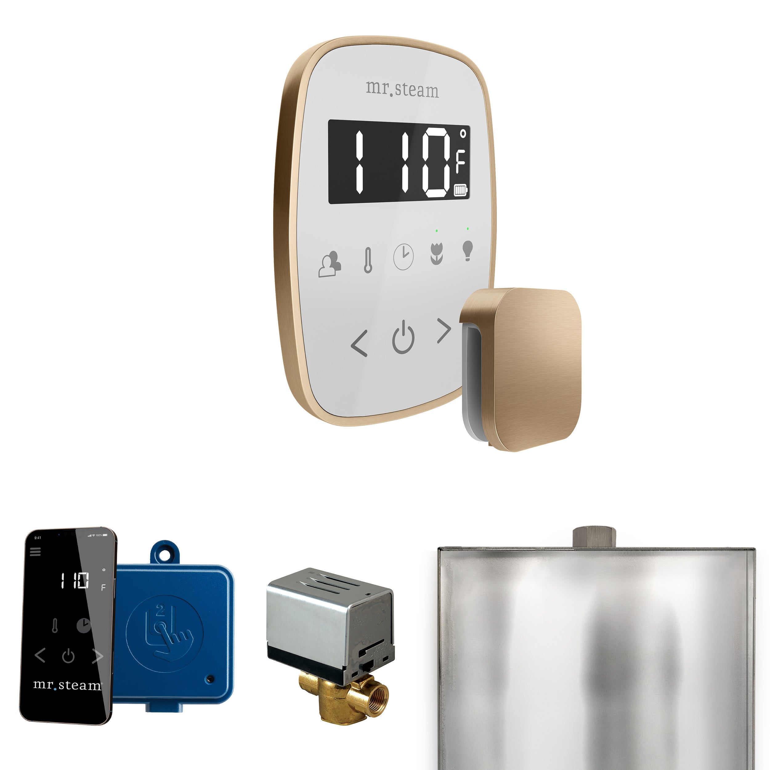 Mr Steam ButlerFlex Steam Shower Control Package with TempoFlex Control and Steamhead