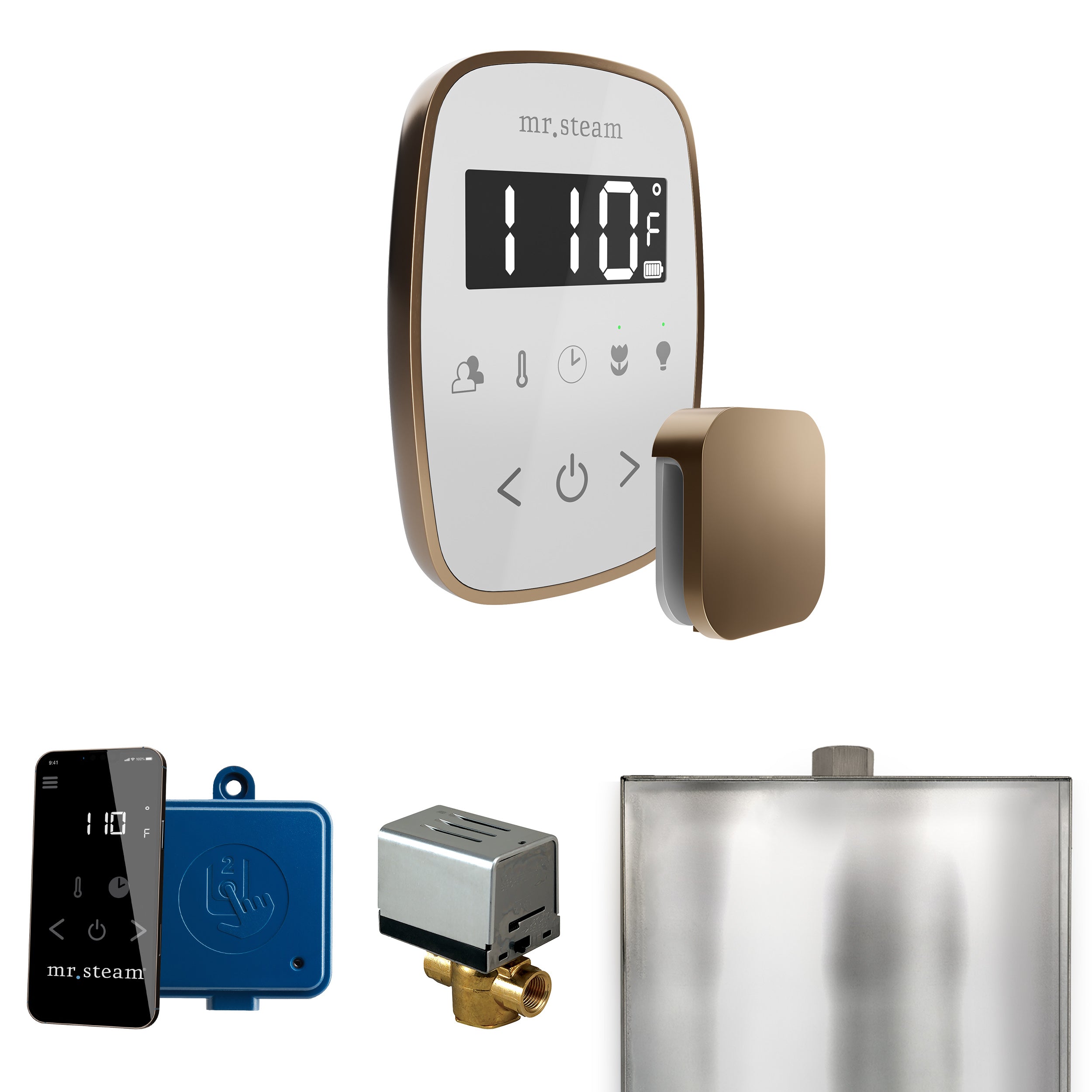 Mr Steam ButlerFlex Steam Shower Control Package with TempoFlex Control and Steamhead