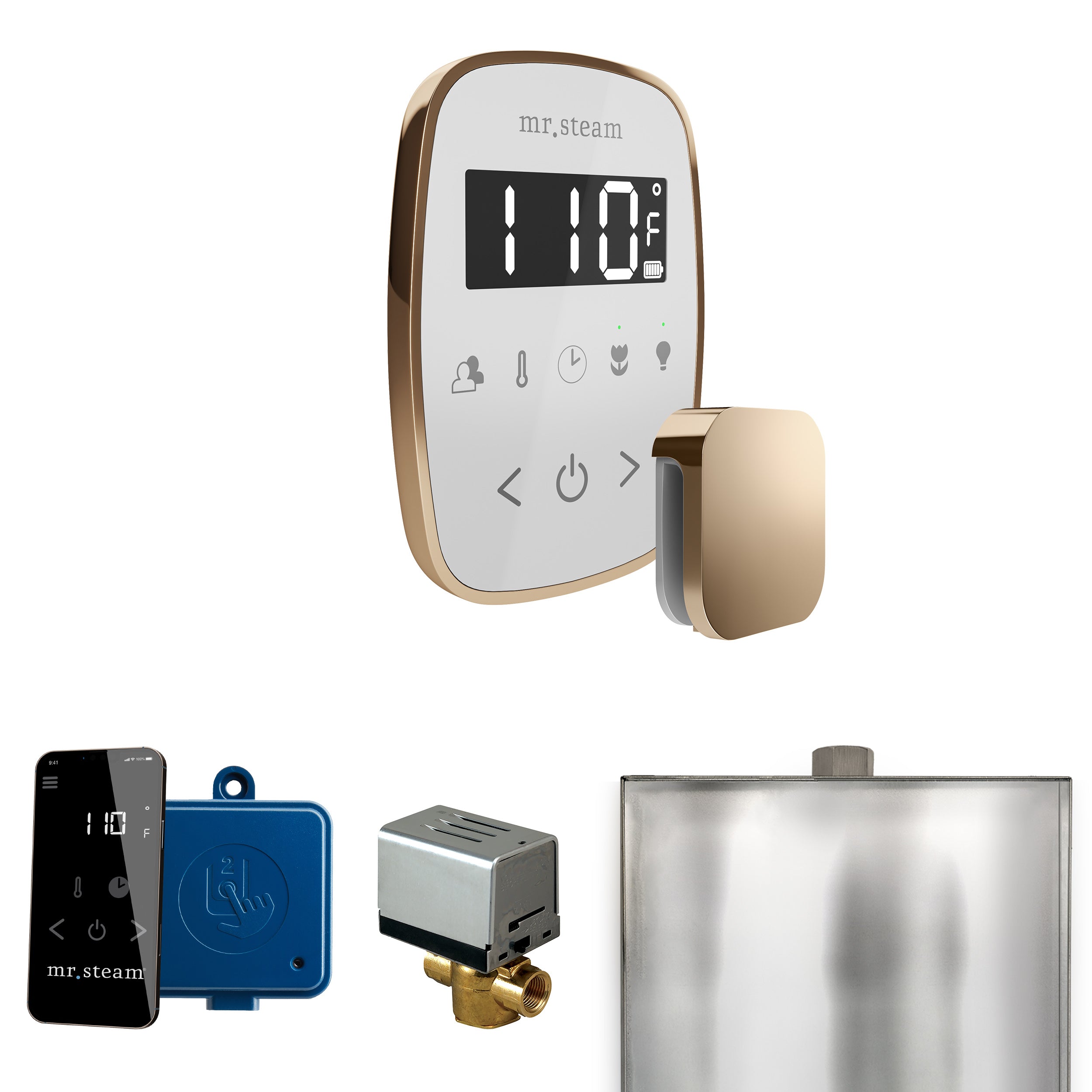 Mr Steam ButlerFlex Steam Shower Control Package with TempoFlex Control and Steamhead