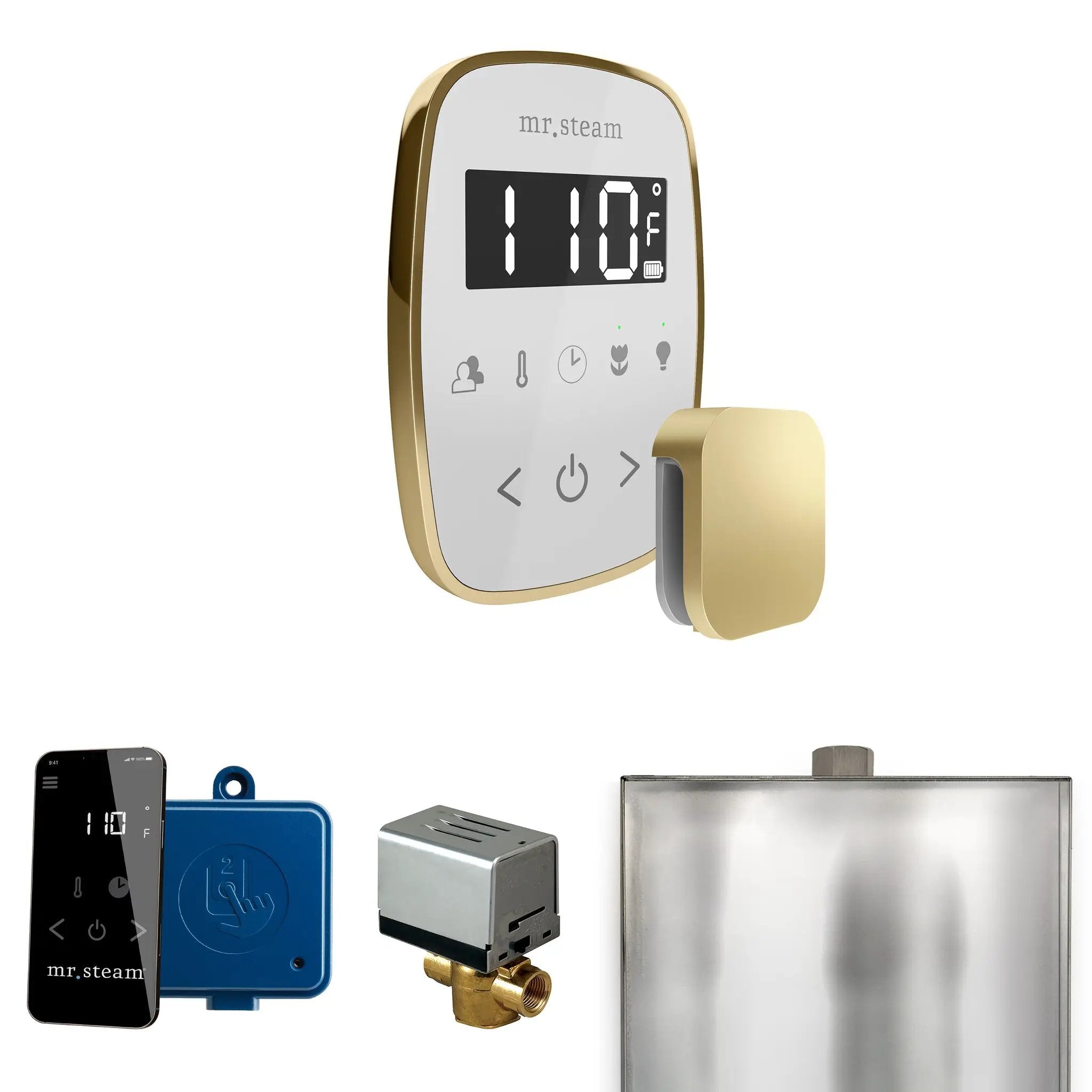 Mr Steam ButlerFlex Steam Shower Control Package with TempoFlex Control and Steamhead by Mr Steam