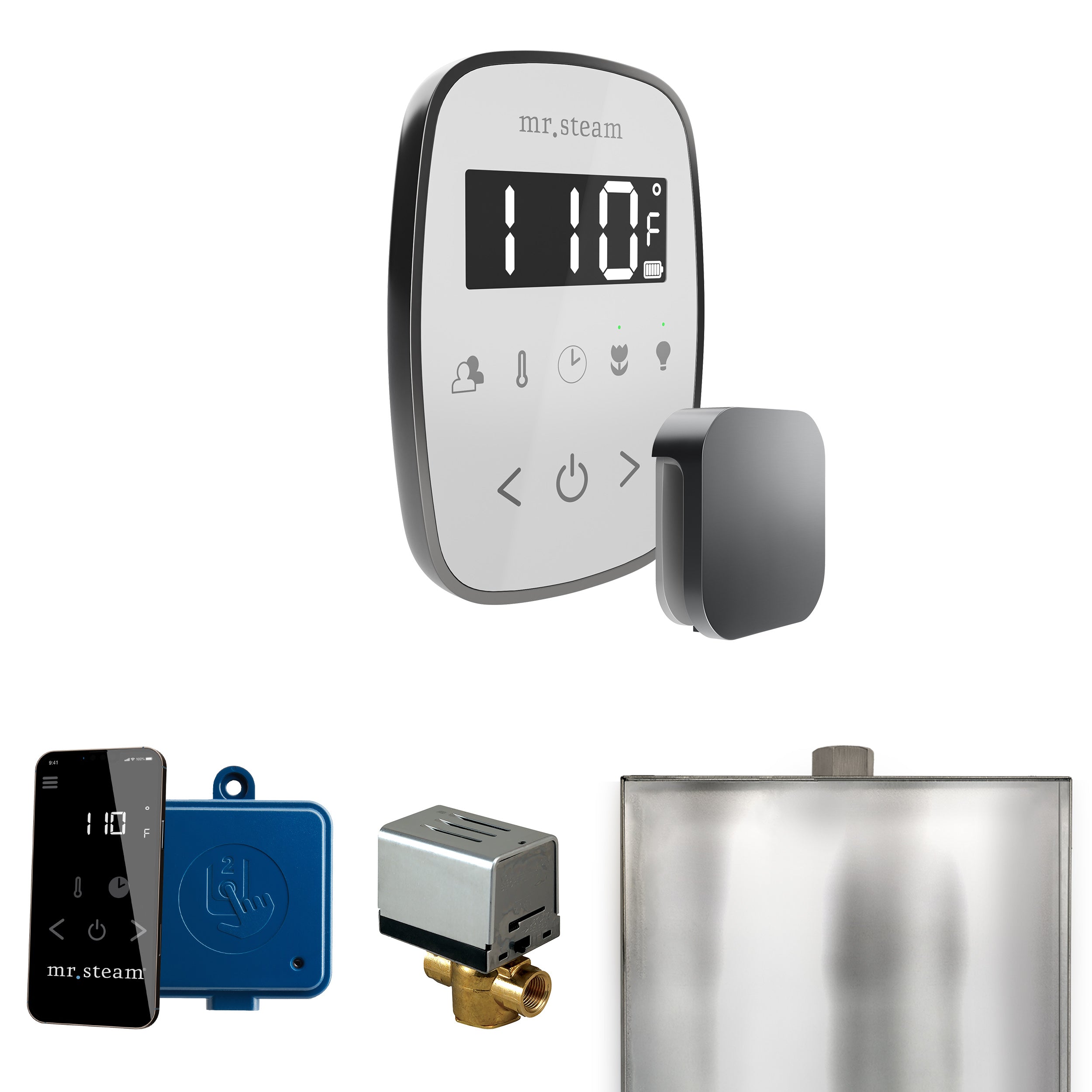 Mr Steam ButlerFlex Steam Shower Control Package with TempoFlex Control and Steamhead