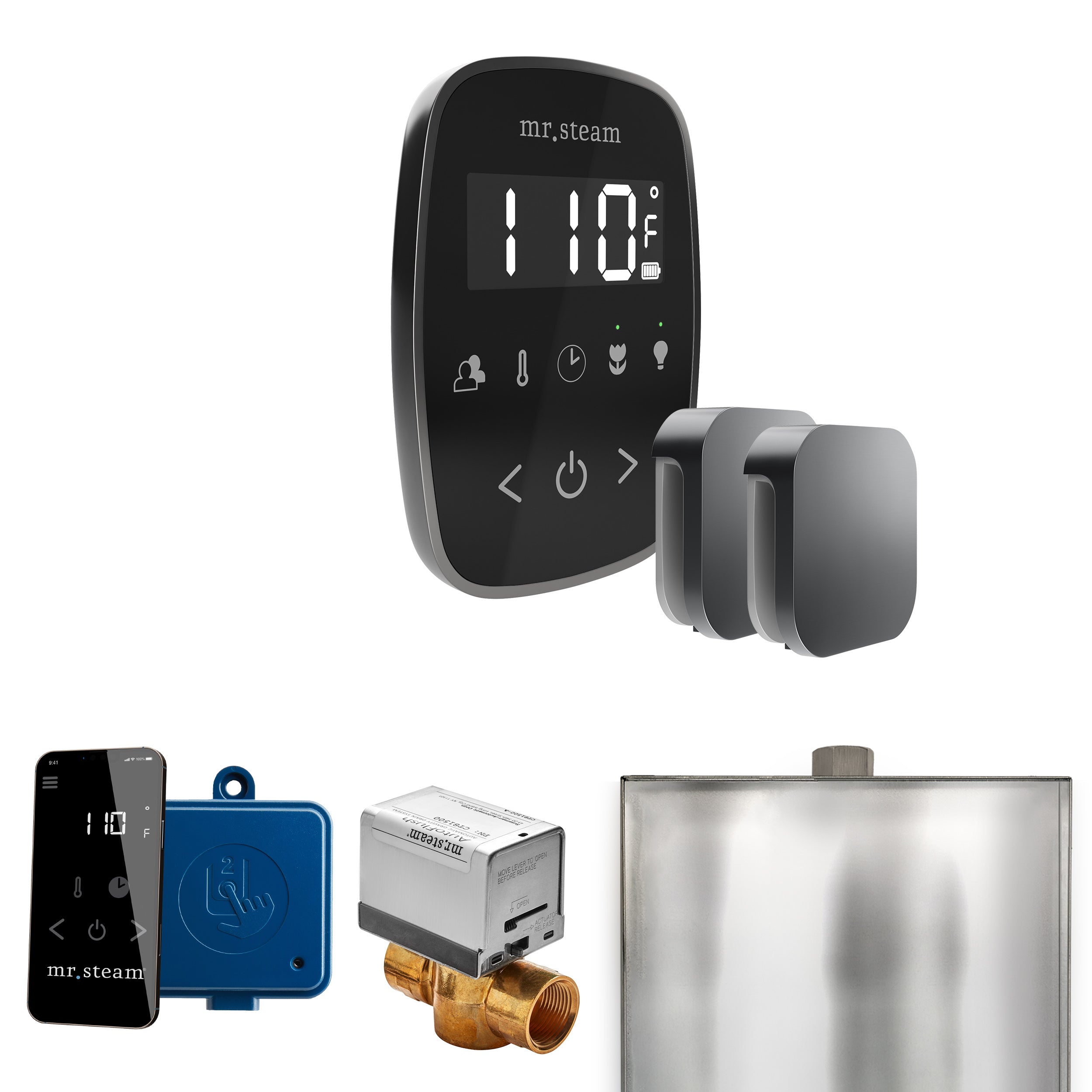 Mr Steam ButlerFlex Max Steam Shower Control Package with TempoFlex Control and Steamhead