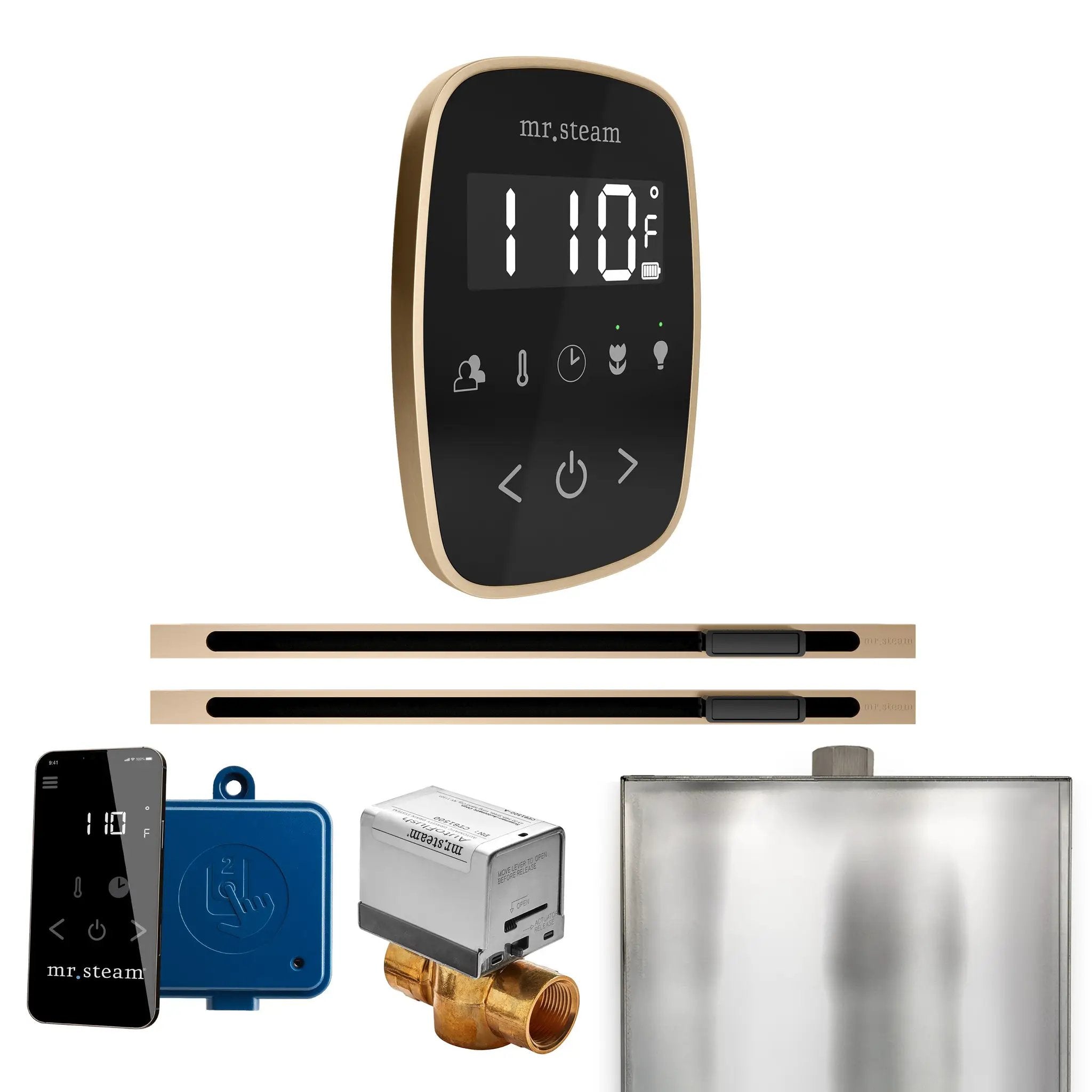 Mr Steam ButlerFlex Max Steam Shower Control Package with TempoFlex Control and Linear Steamhead by Mr Steam