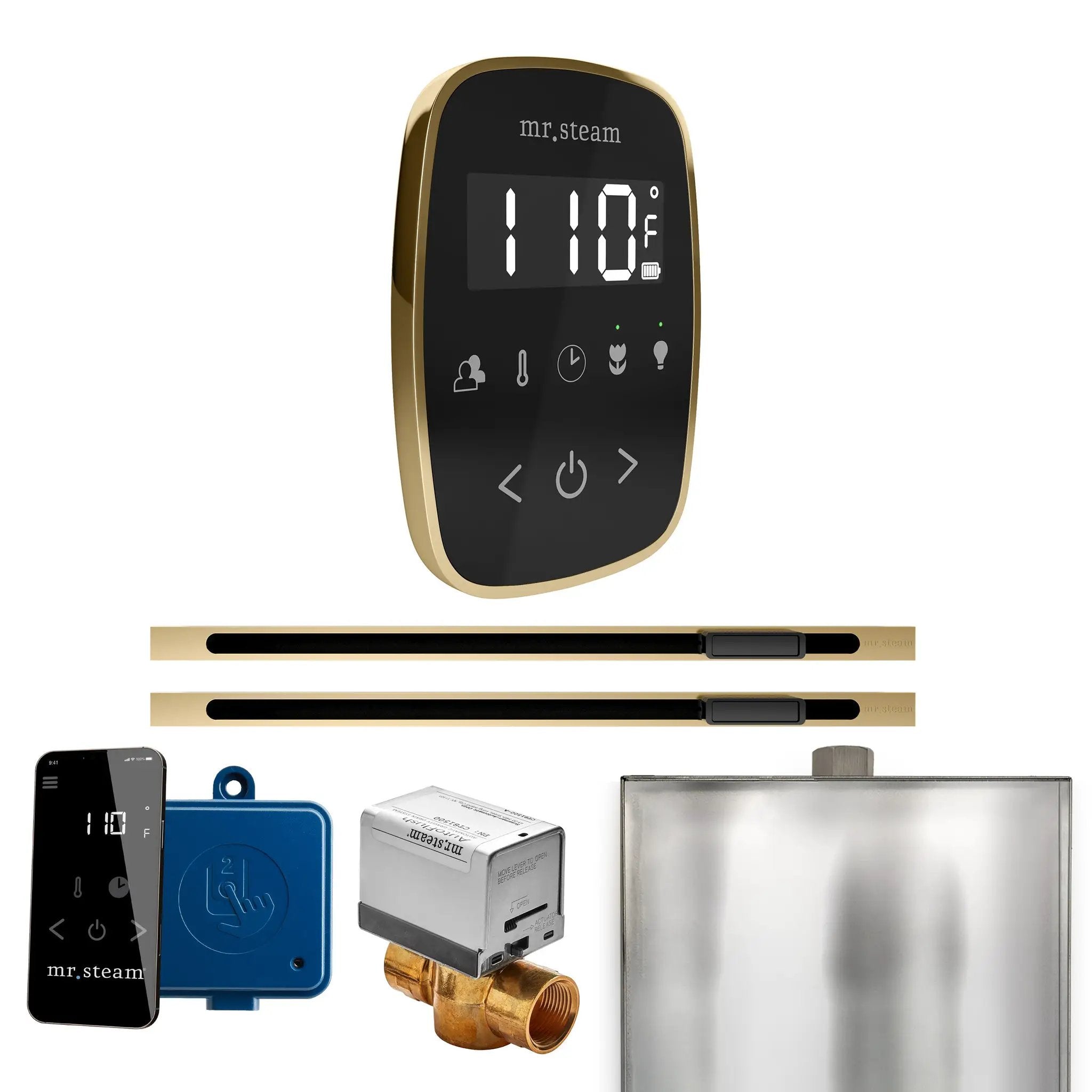Mr Steam ButlerFlex Max Steam Shower Control Package with TempoFlex Control and Linear Steamhead by Mr Steam