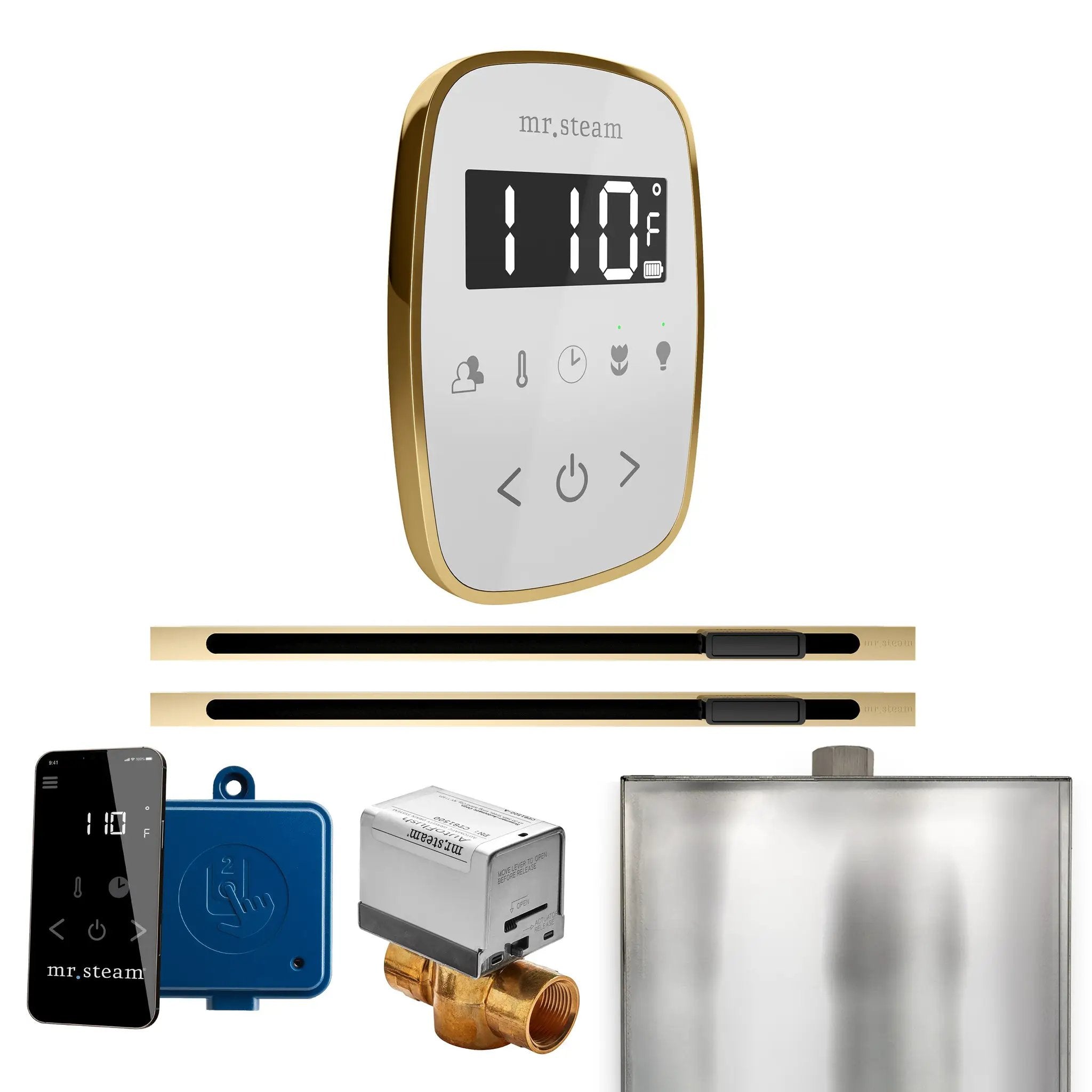 Mr Steam ButlerFlex Max Steam Shower Control Package with TempoFlex Control and Linear Steamhead by Mr Steam