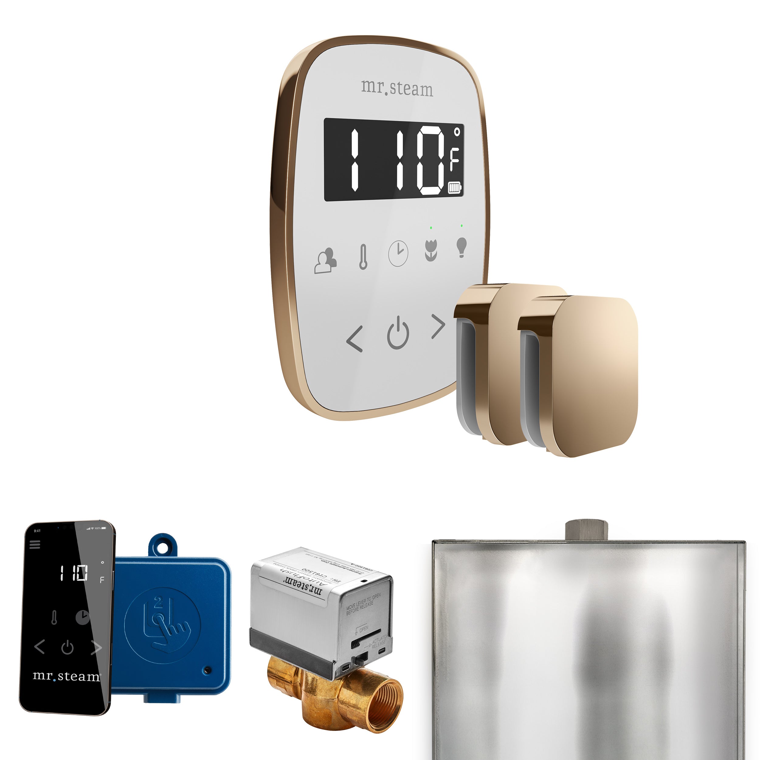 Mr Steam ButlerFlex Max Steam Shower Control Package with TempoFlex Control and Steamhead