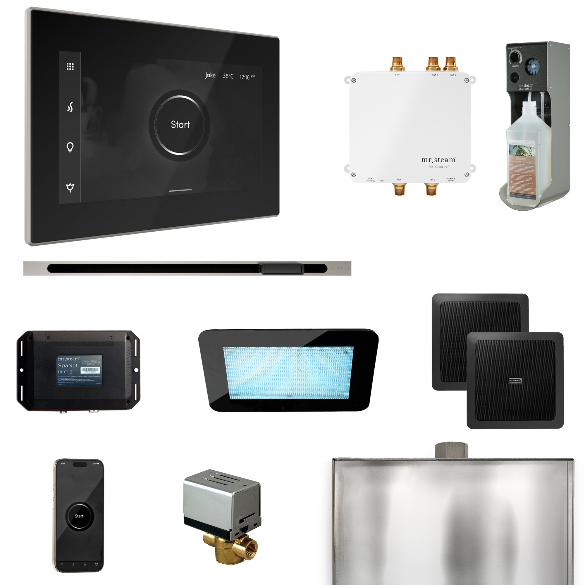 Mr Steam Bliss Steam Shower Control Package with iSteamX Control and Linear Steamhead