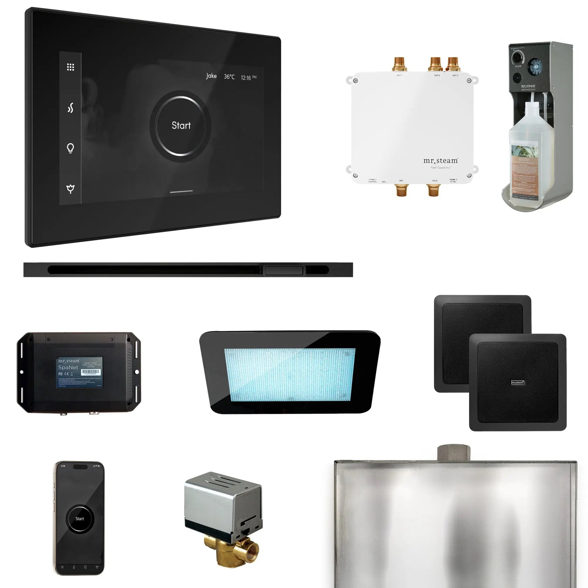 Mr Steam Bliss Steam Shower Control Package with iSteamX Control and Linear Steamhead by Mr Steam