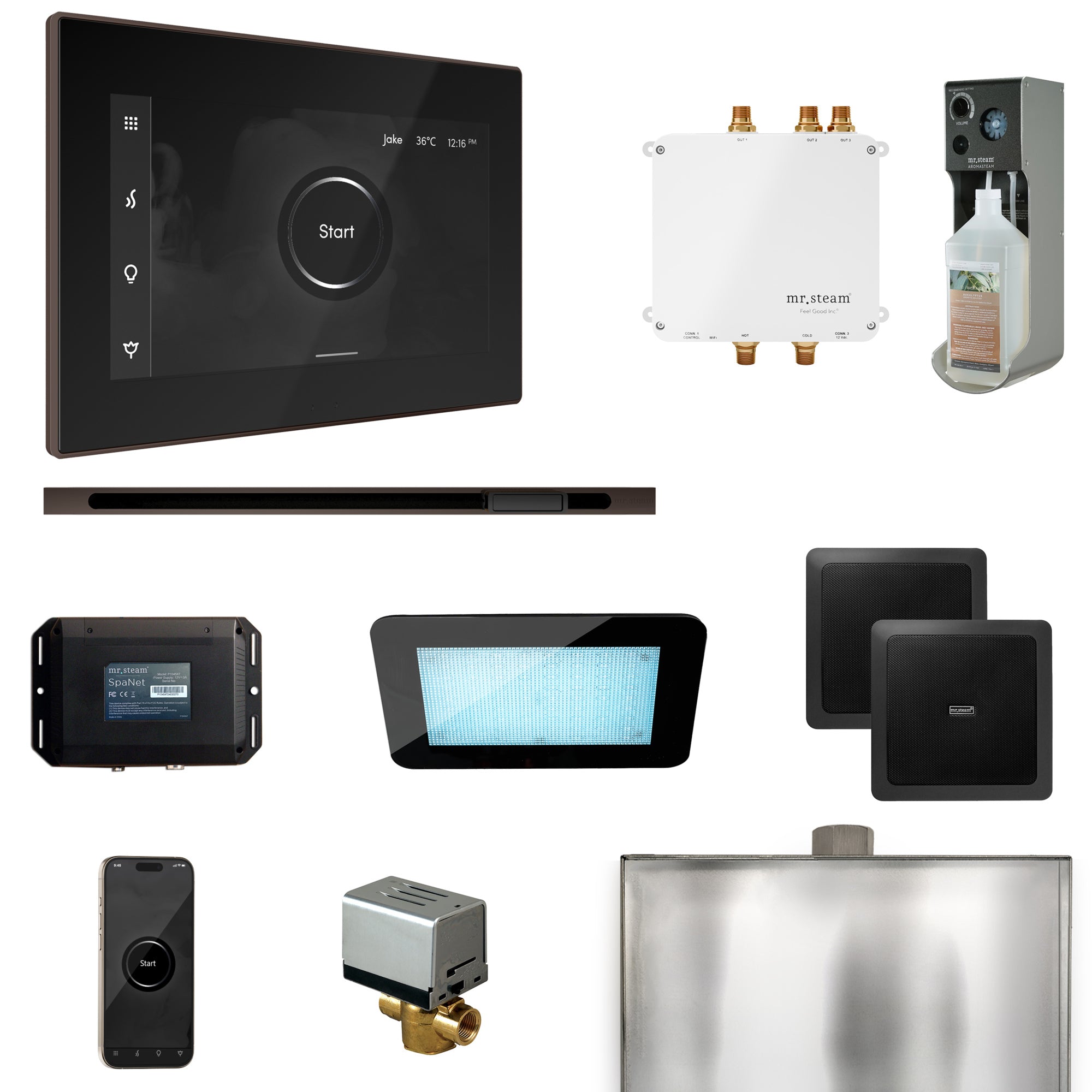 Mr Steam Bliss Steam Shower Control Package with iSteamX Control and Linear Steamhead