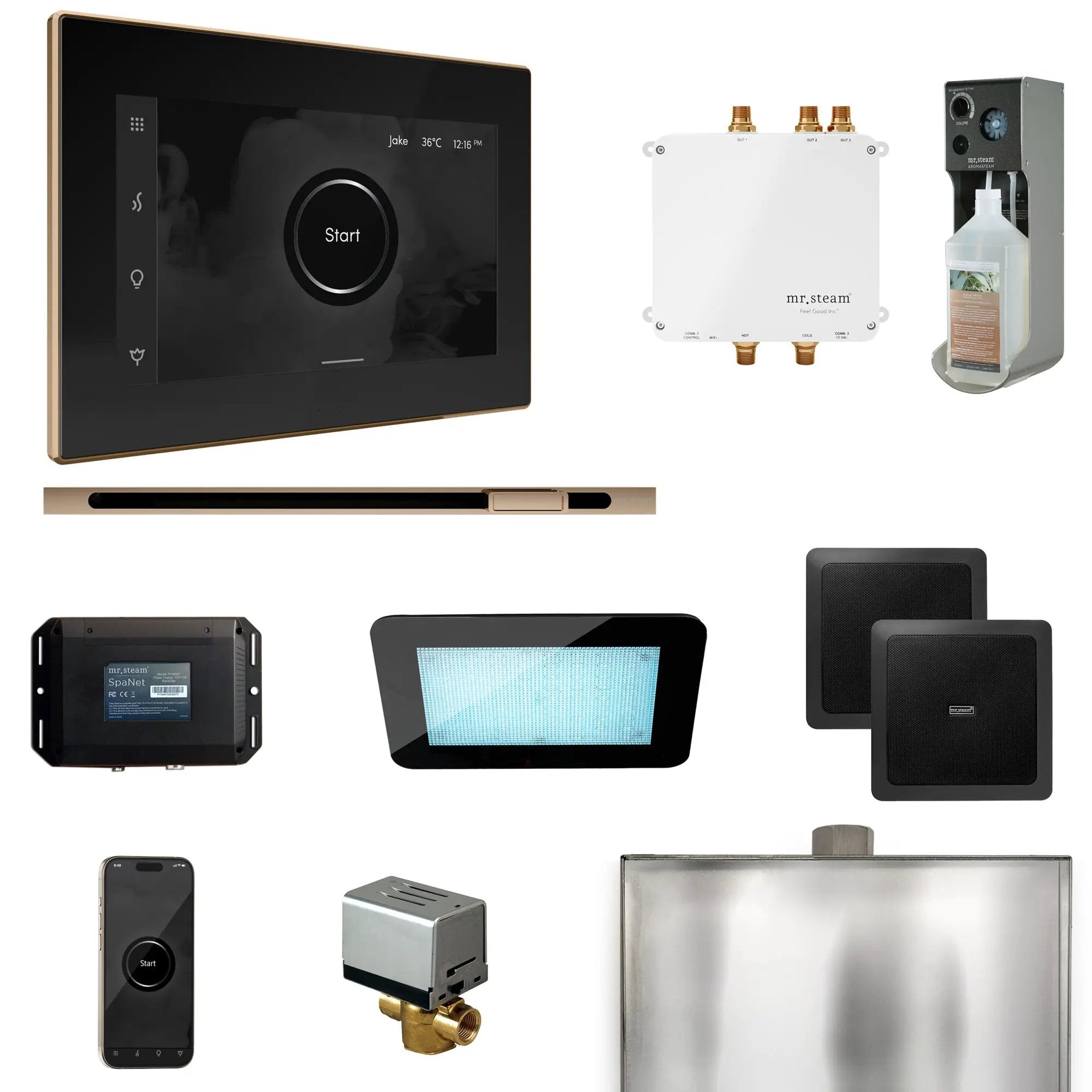 Mr Steam Bliss Steam Shower Control Package with iSteamX Control and Linear Steamhead by Mr Steam