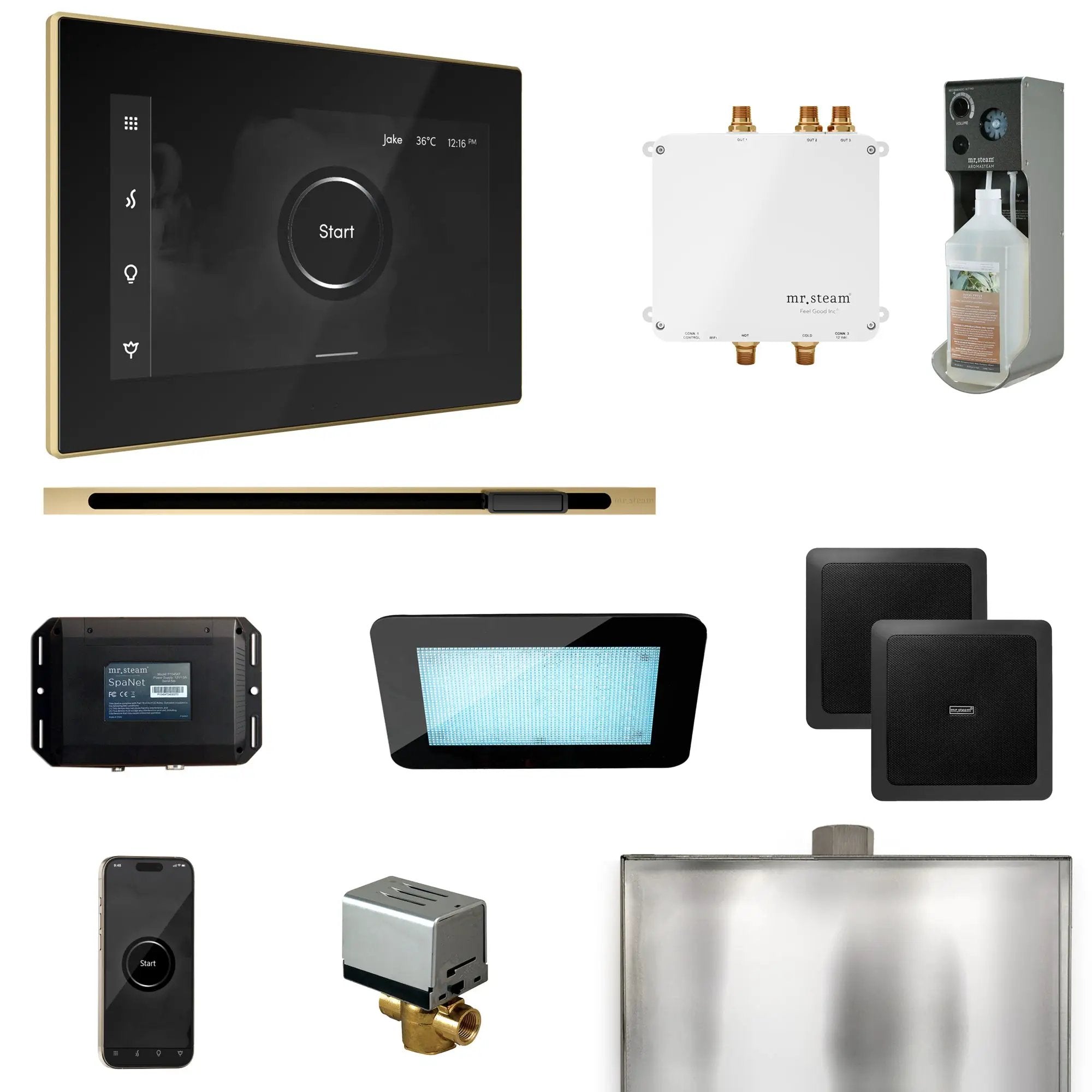 Mr Steam Bliss Steam Shower Control Package with iSteamX Control and Linear Steamhead by Mr Steam
