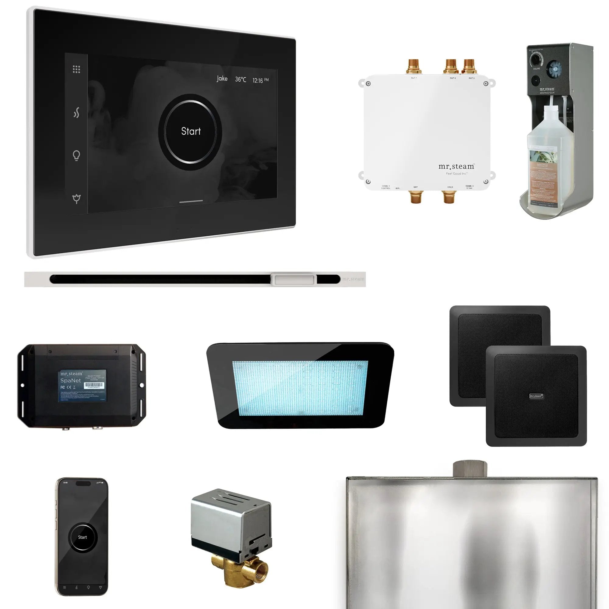 Mr Steam Bliss Steam Shower Control Package with iSteamX Control and Linear Steamhead by Mr Steam