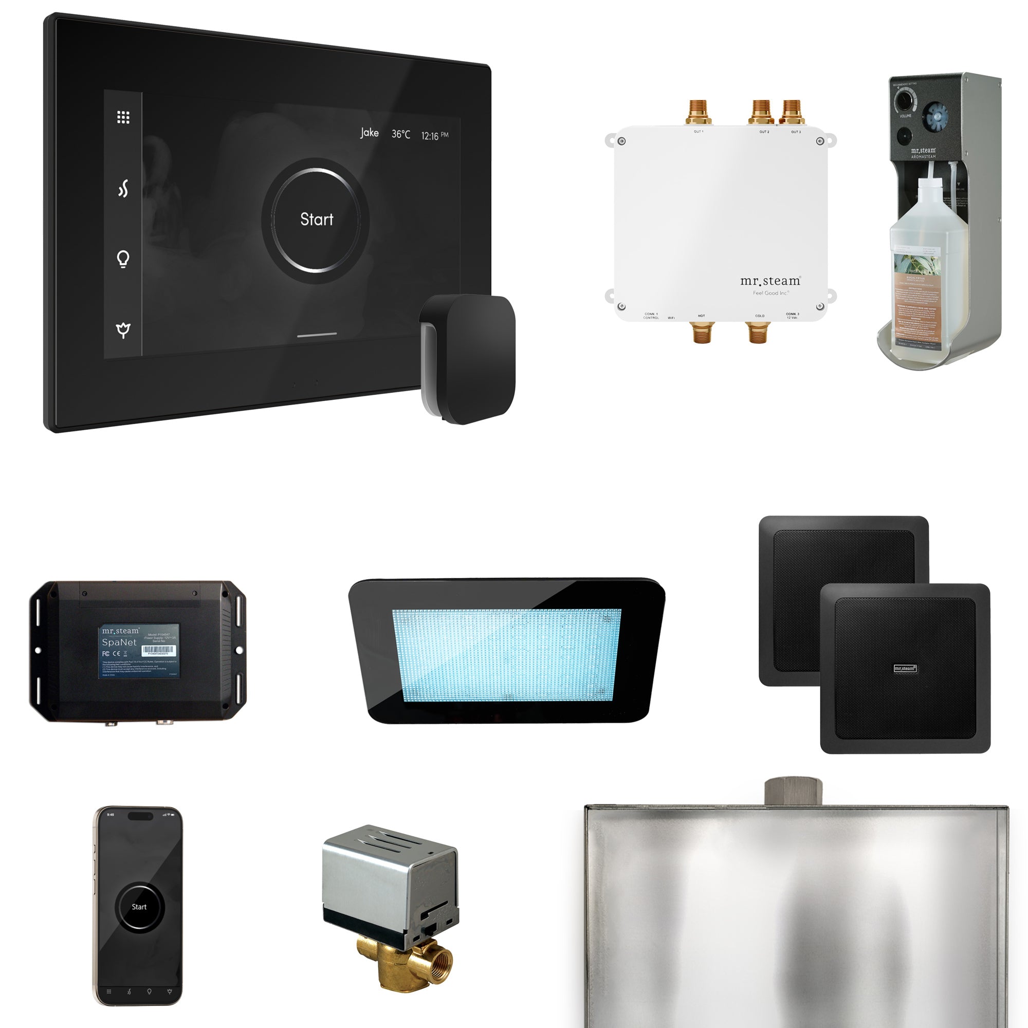 Mr Steam Bliss Steam Shower Control Package with iSteamX Control and Steamhead