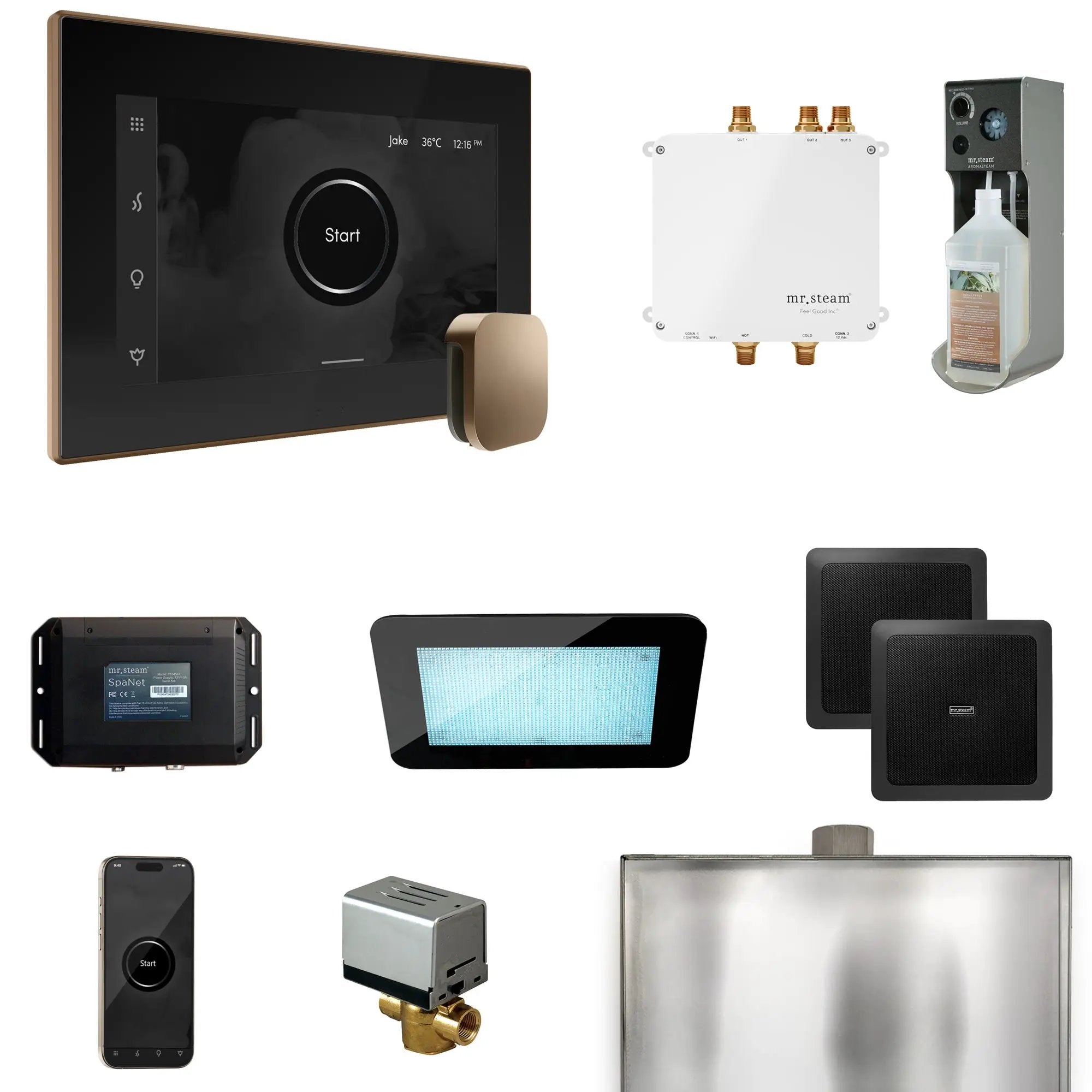 Mr Steam Bliss Steam Shower Control Package with iSteamX Control and Steamhead by Mr Steam