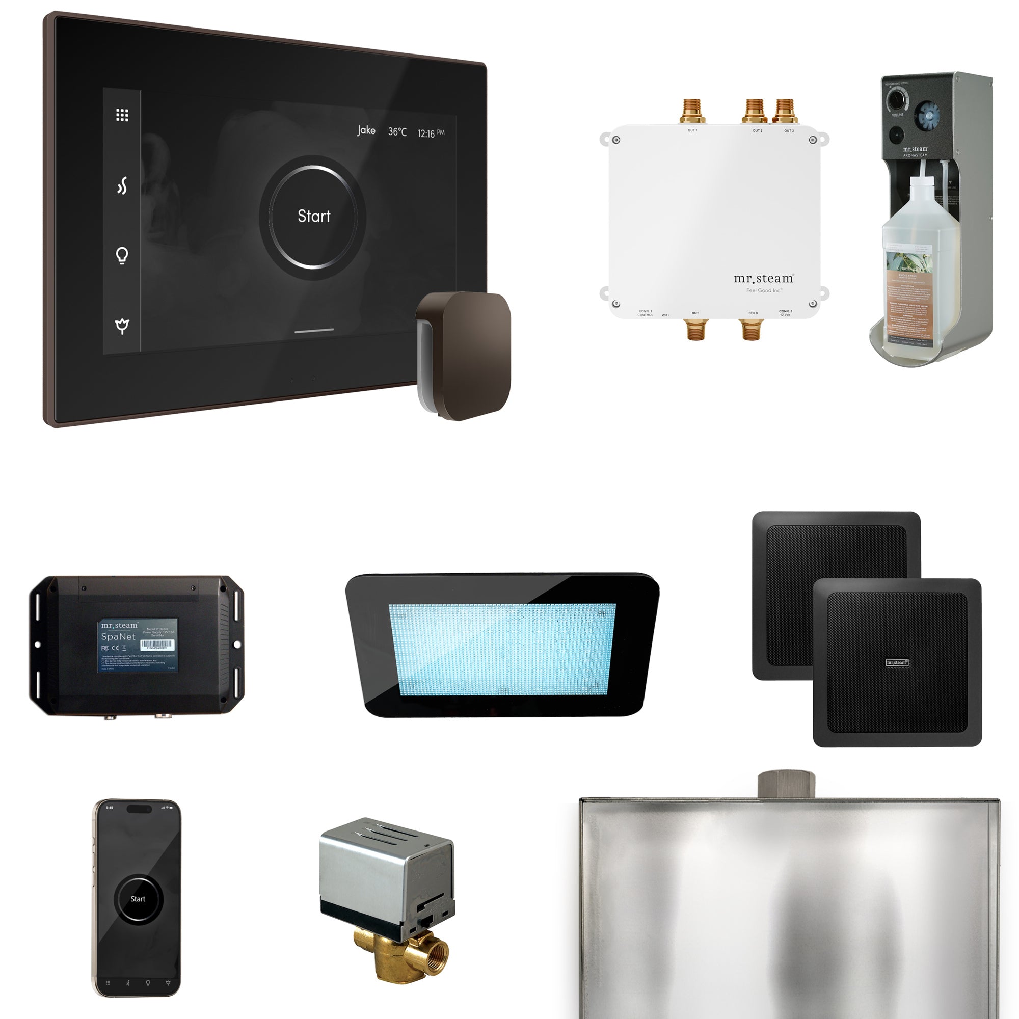 Mr Steam Bliss Steam Shower Control Package with iSteamX Control and Steamhead