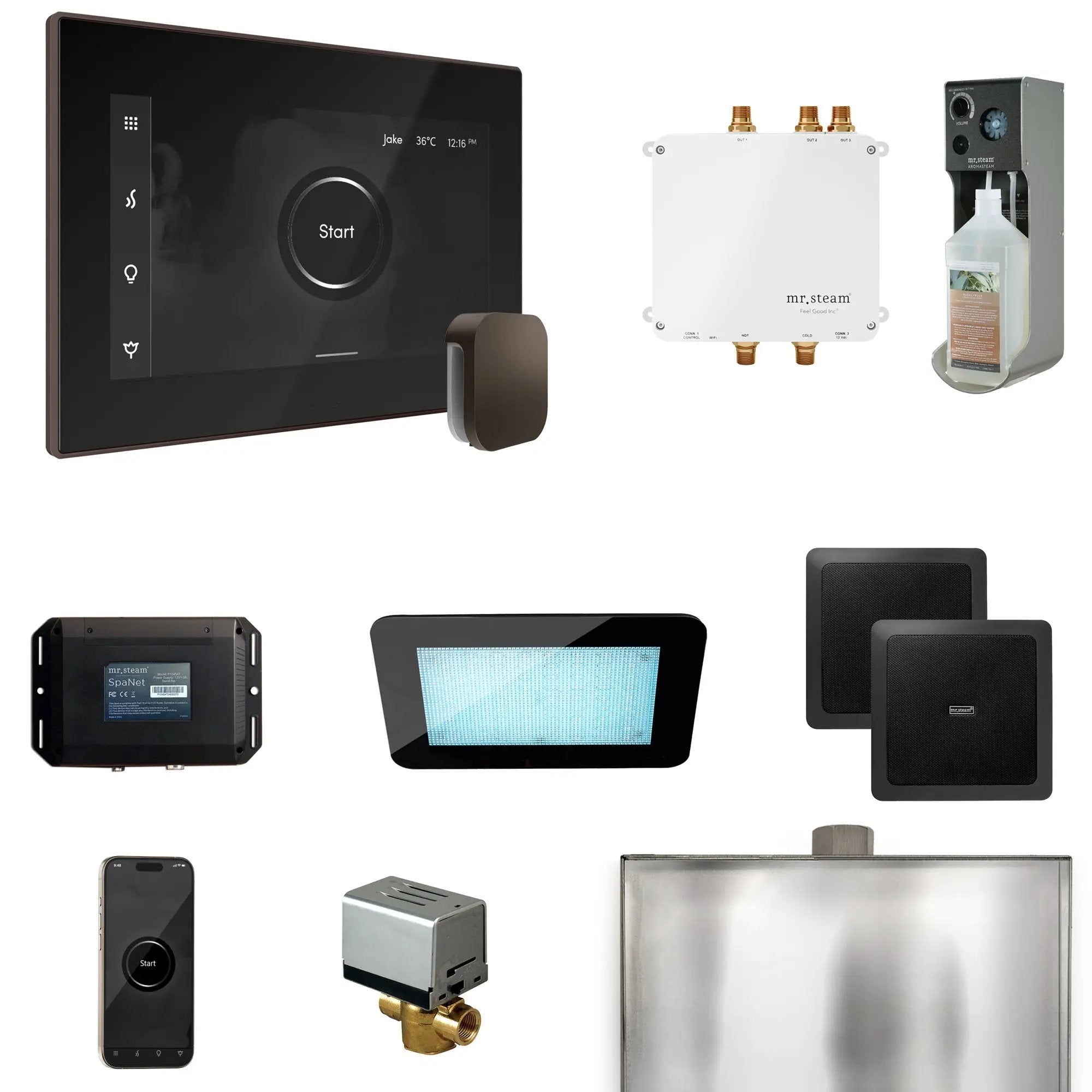 Mr Steam Bliss Steam Shower Control Package with iSteamX Control and Steamhead by Mr Steam