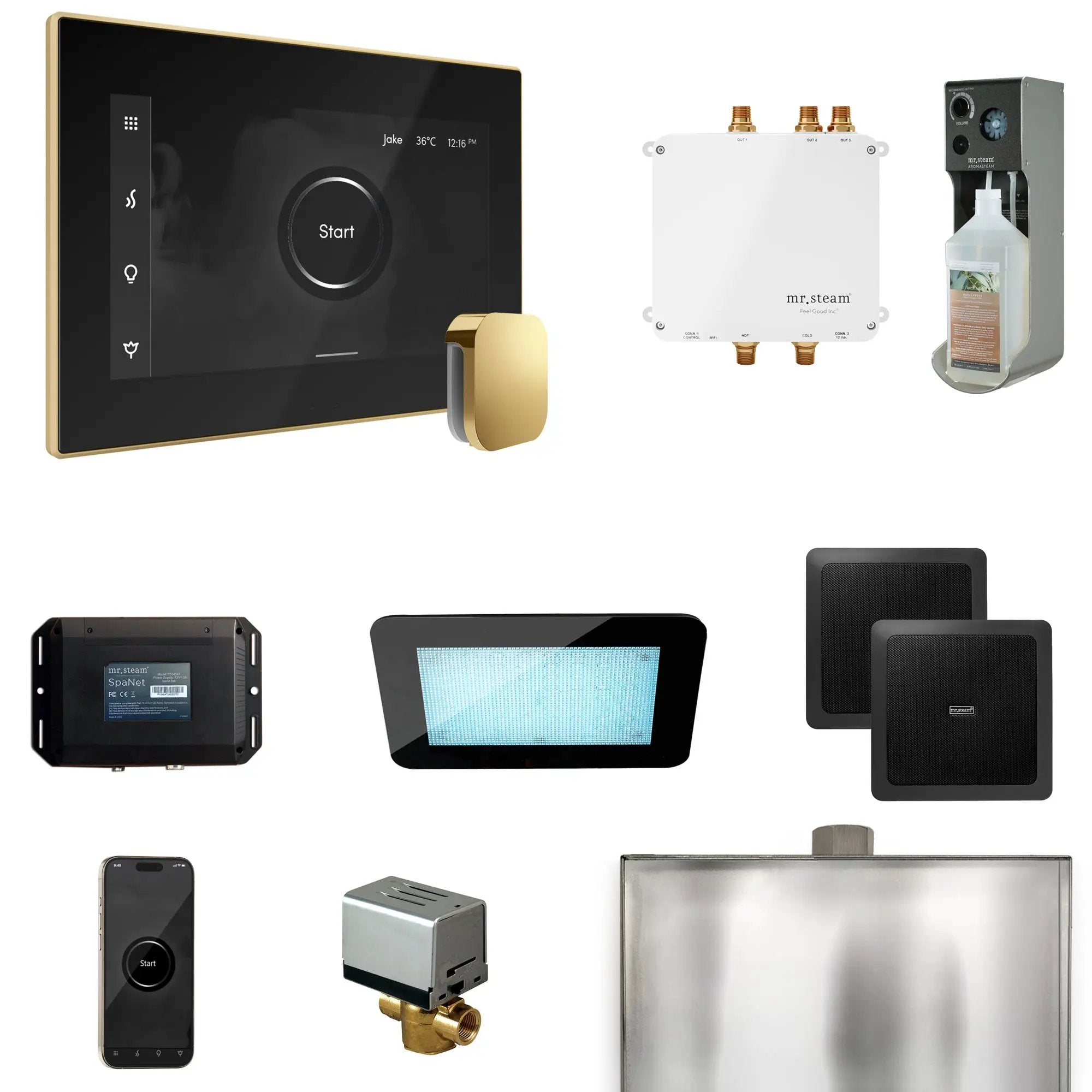 Mr Steam Bliss Steam Shower Control Package with iSteamX Control and Steamhead by Mr Steam