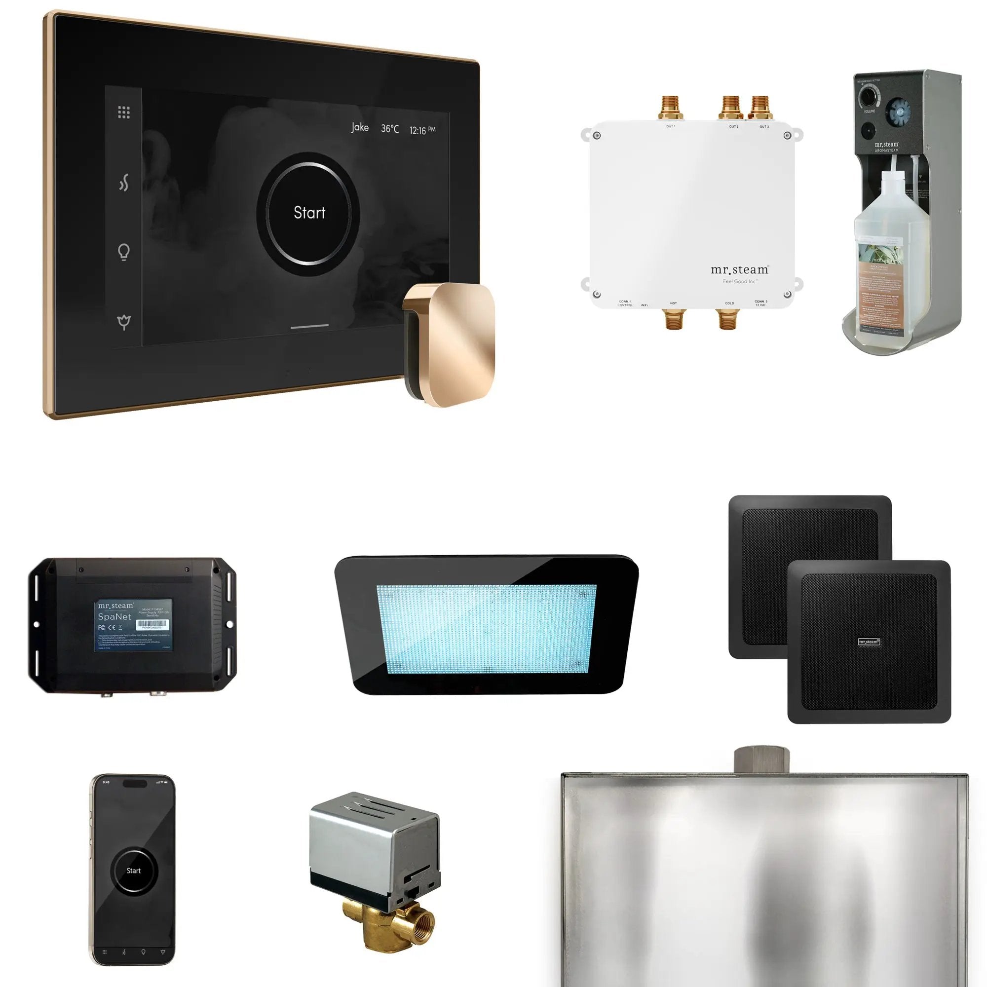 Mr Steam Bliss Steam Shower Control Package with iSteamX Control and Steamhead by Mr Steam