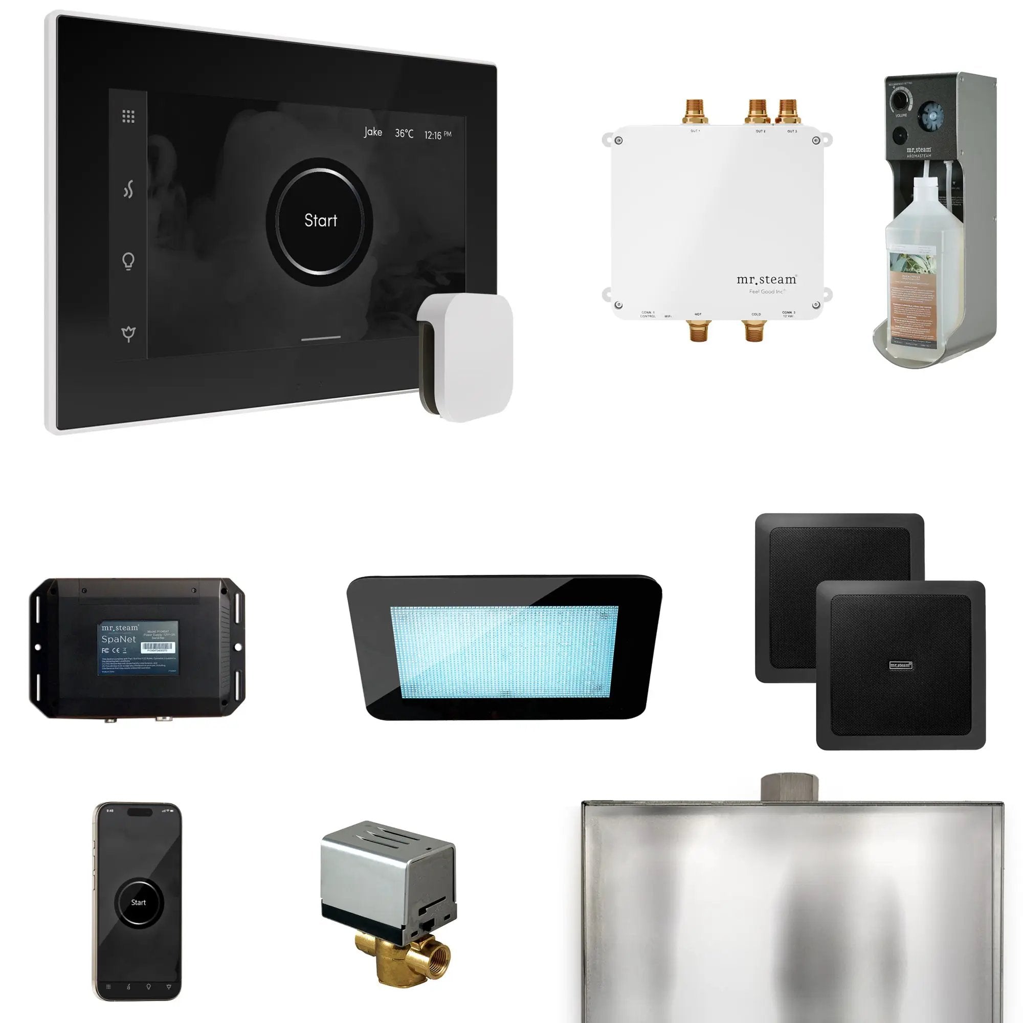 Mr Steam Bliss Steam Shower Control Package with iSteamX Control and Steamhead by Mr Steam