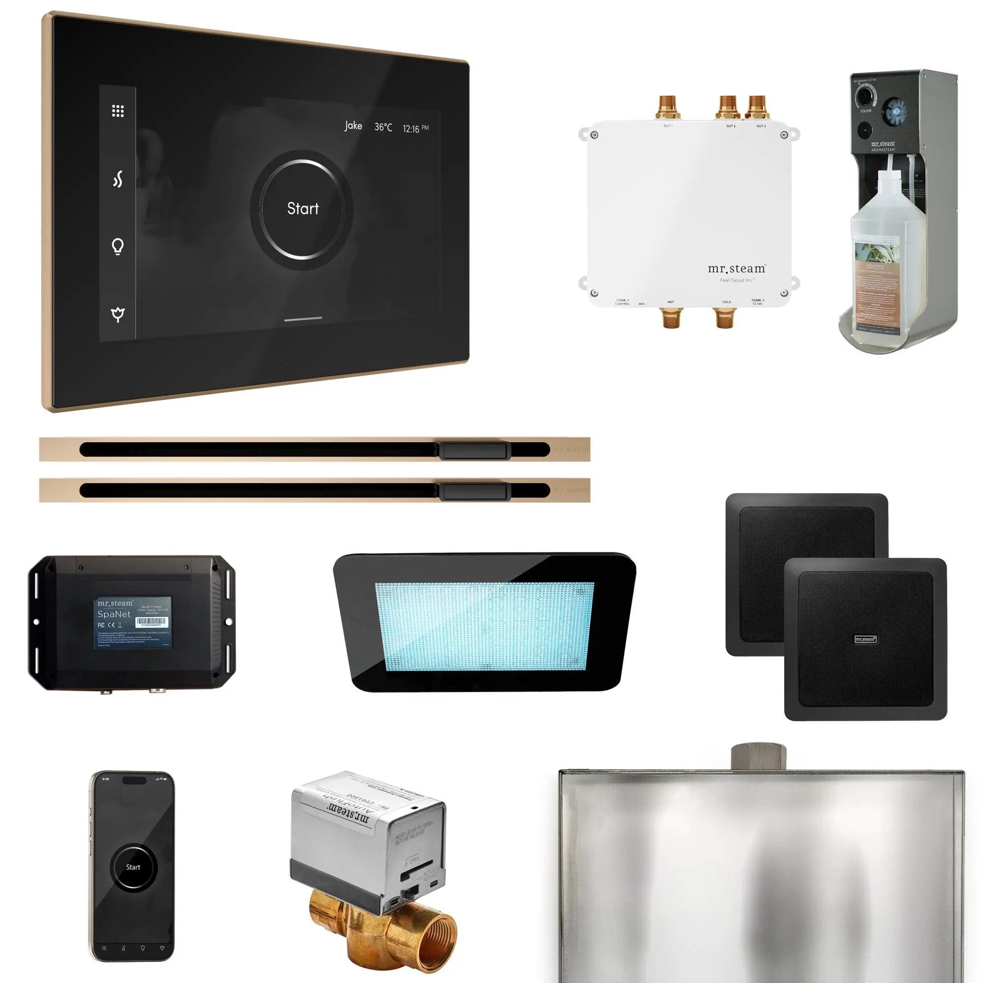 Mr Steam Bliss Max Steam Shower Control Package with iSteamX Control and Linear Steamhead by Mr Steam