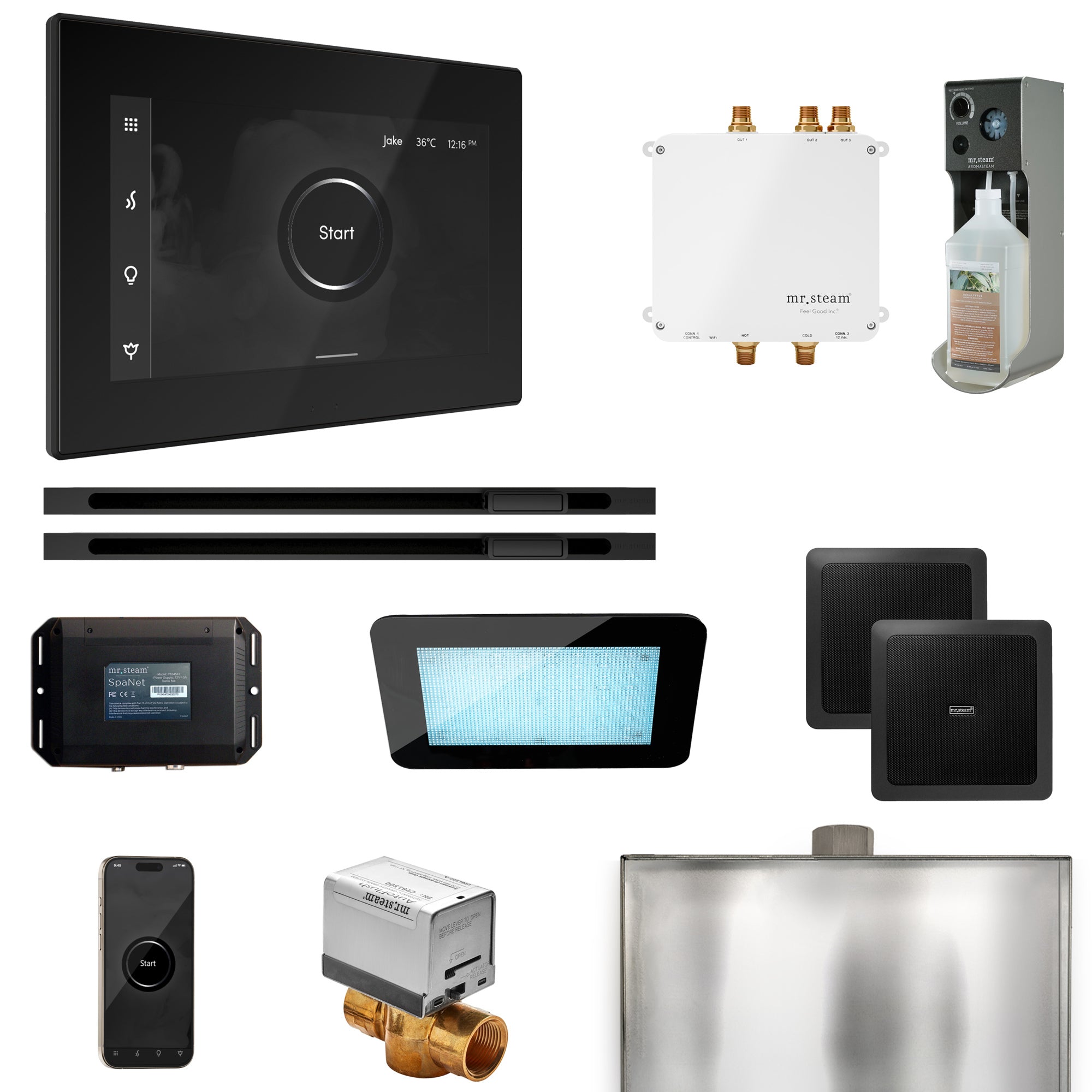 Mr Steam Bliss Max Steam Shower Control Package with iSteamX Control and Linear Steamhead