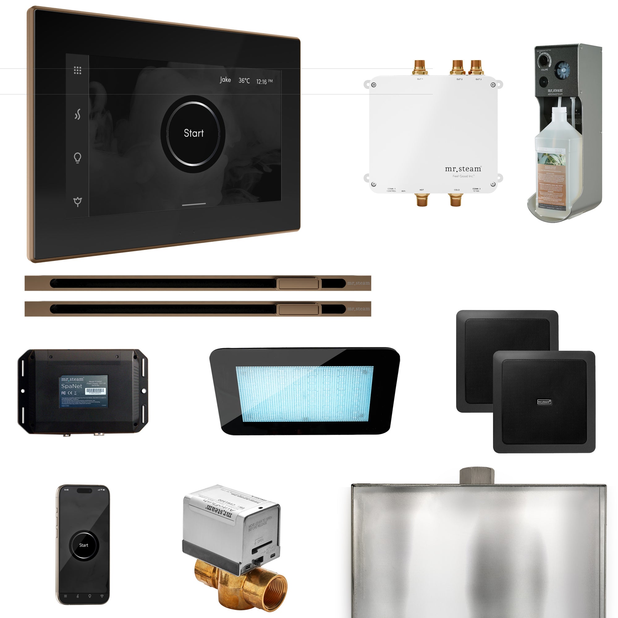 Mr Steam Bliss Max Steam Shower Control Package with iSteamX Control and Linear Steamhead