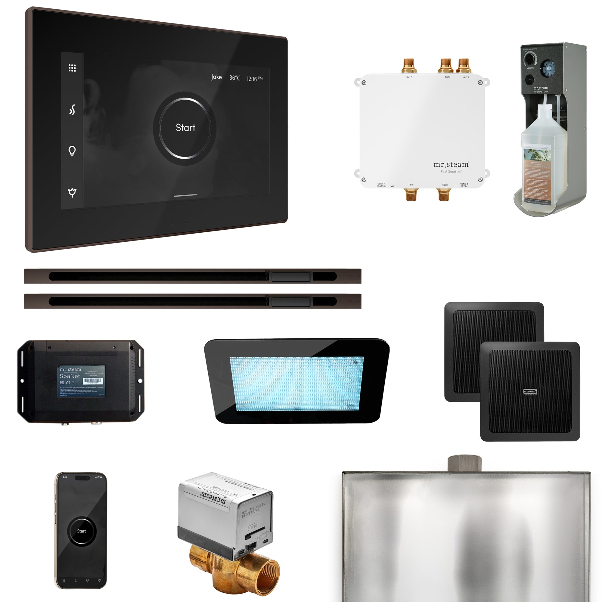 Mr Steam Bliss Max Steam Shower Control Package with iSteamX Control and Linear Steamhead