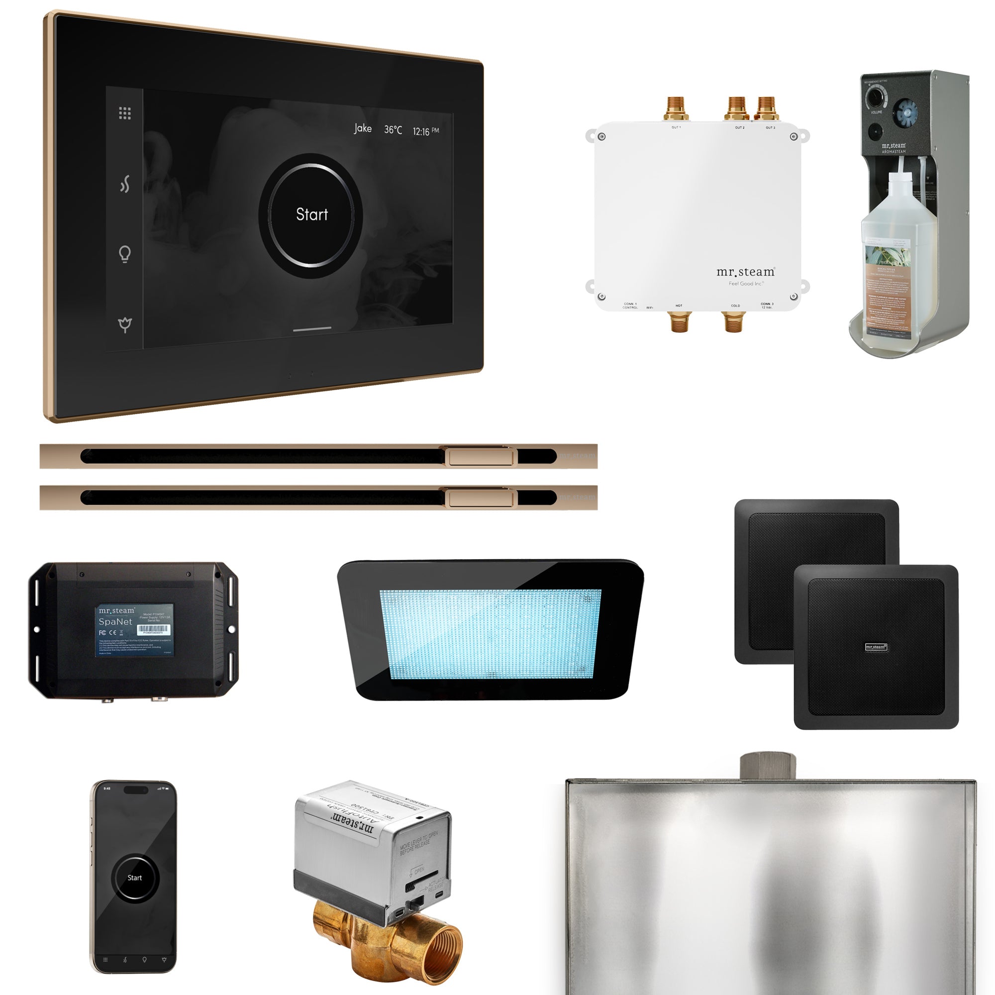 Mr Steam Bliss Max Steam Shower Control Package with iSteamX Control and Linear Steamhead