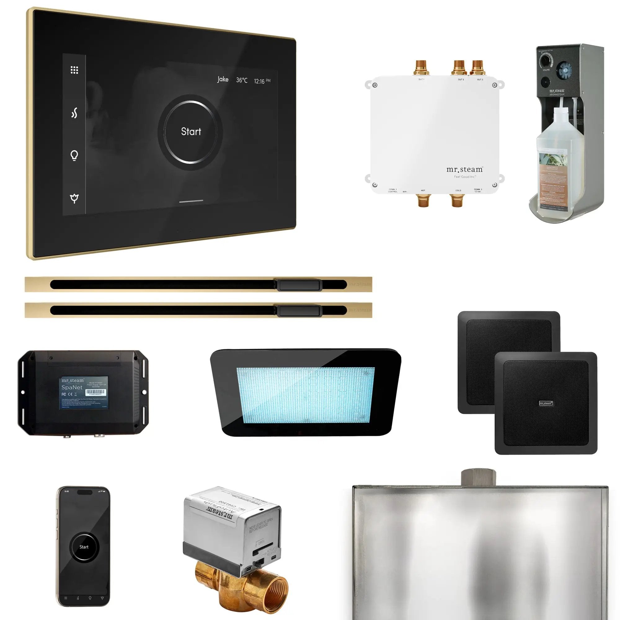 Mr Steam Bliss Max Steam Shower Control Package with iSteamX Control and Linear Steamhead by Mr Steam