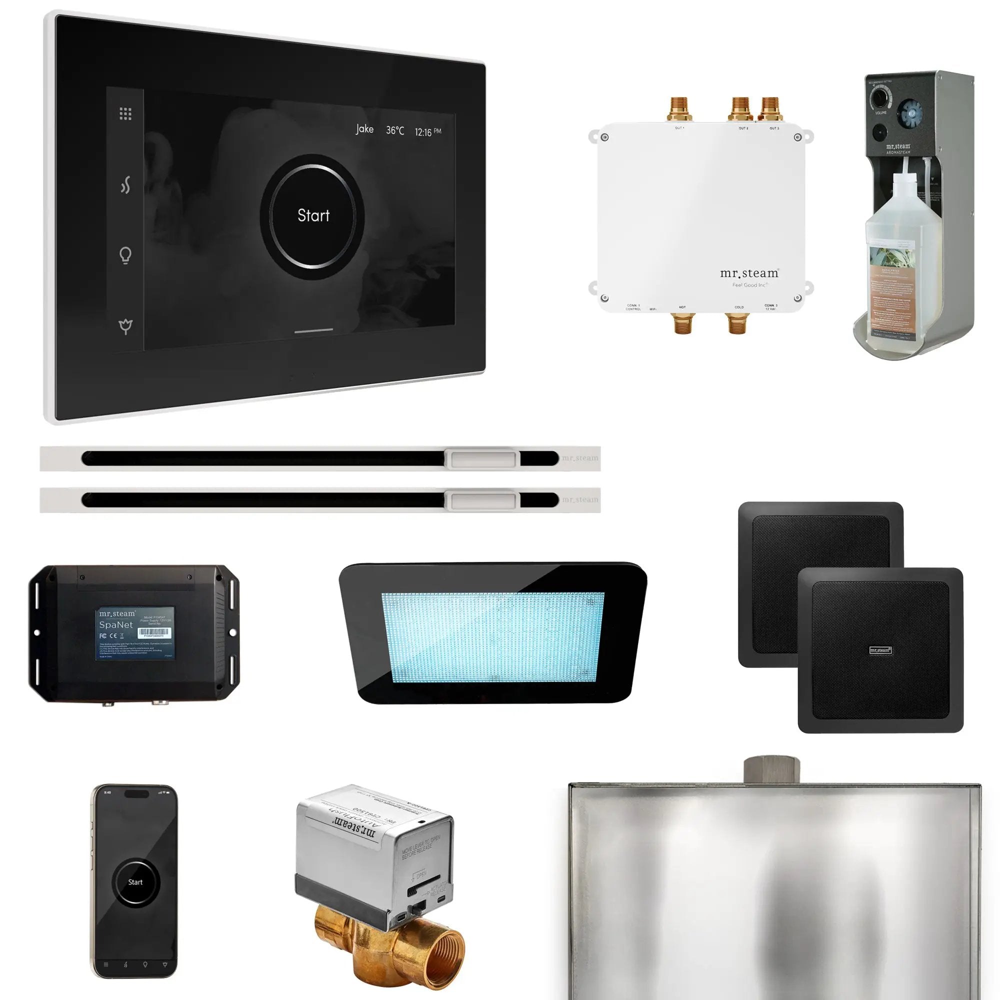 Mr Steam Bliss Max Steam Shower Control Package with iSteamX Control and Linear Steamhead by Mr Steam