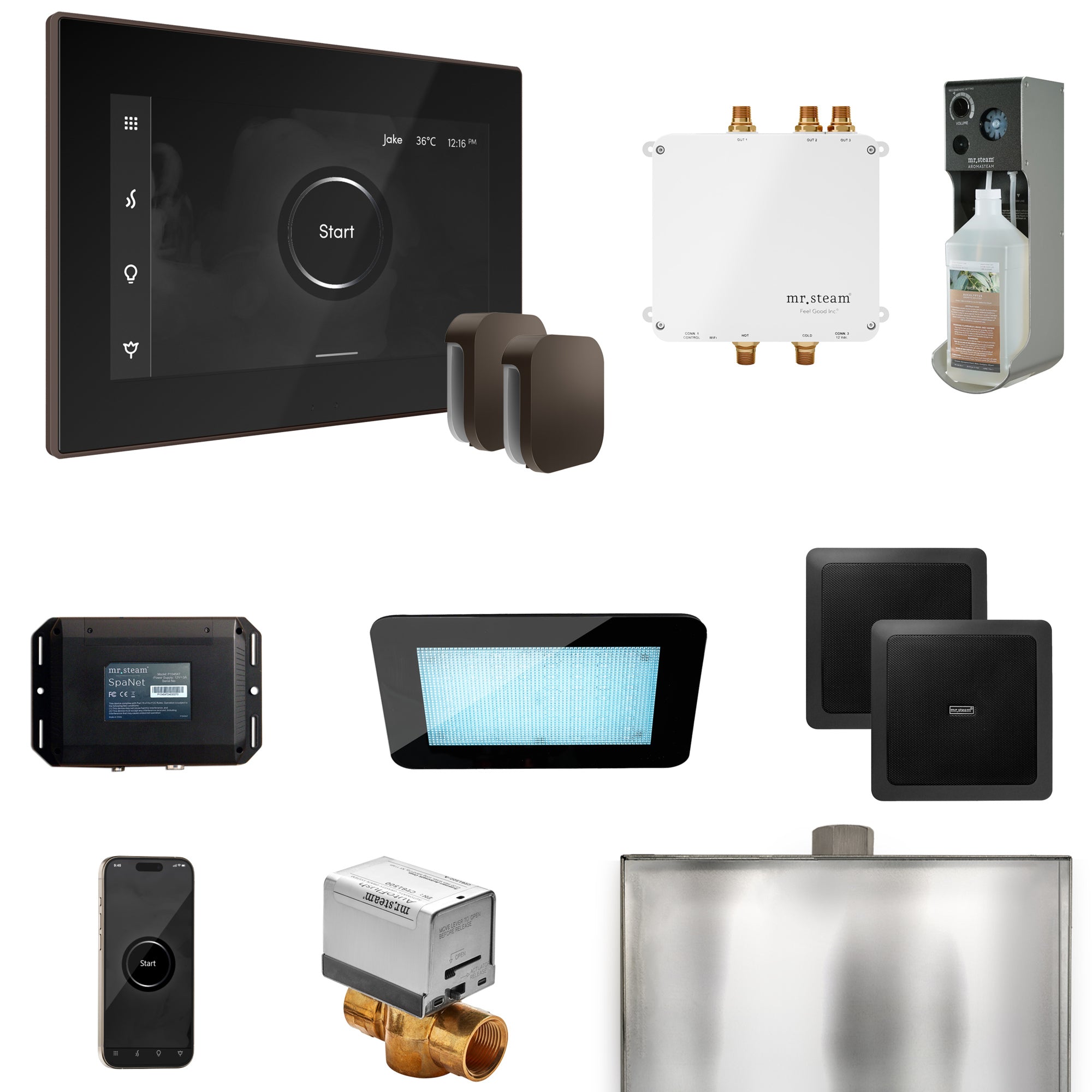 Mr Steam Bliss Max Steam Shower Control Package with iSteamX Control and Steamhead