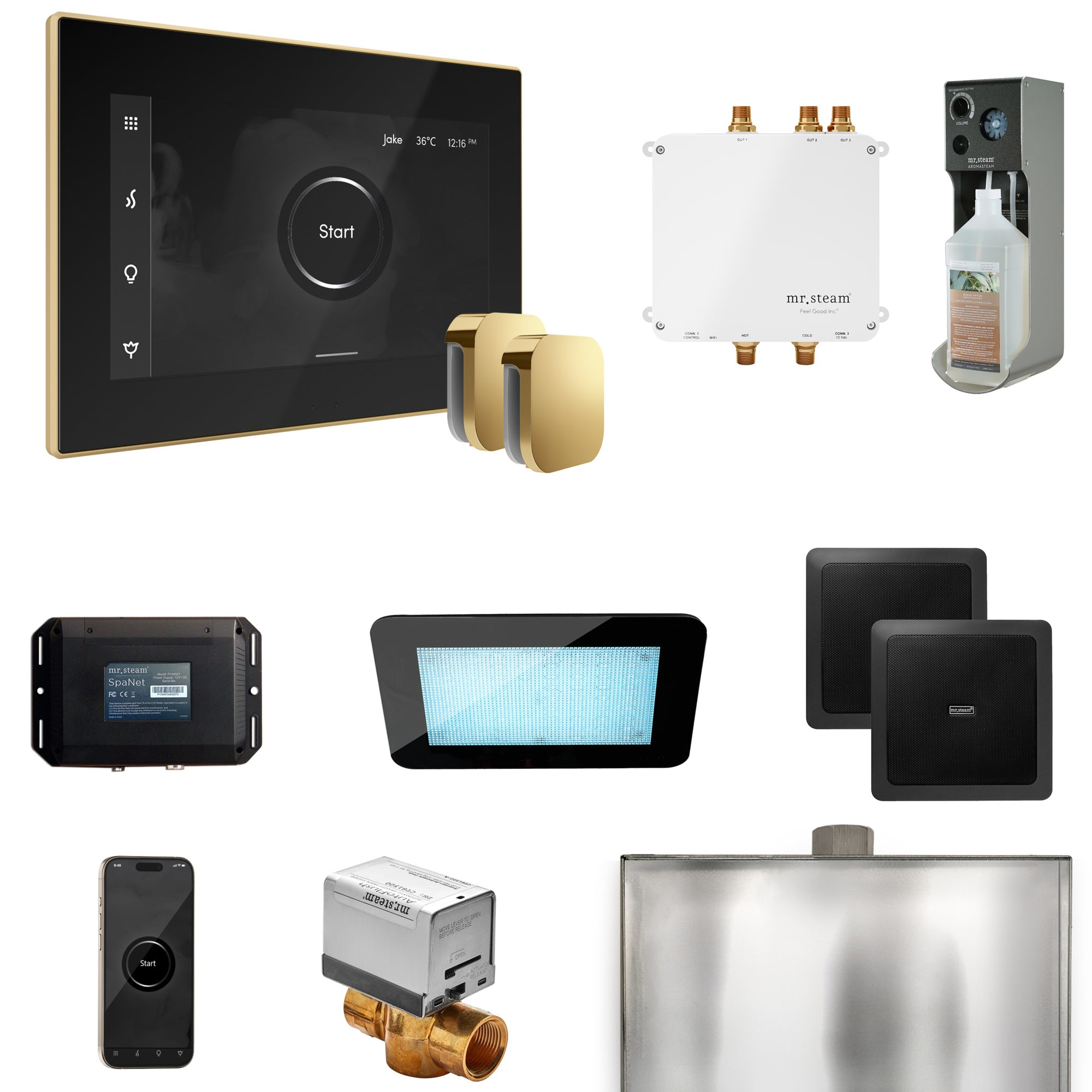 Mr Steam Bliss Max Steam Shower Control Package with iSteamX Control and Steamhead