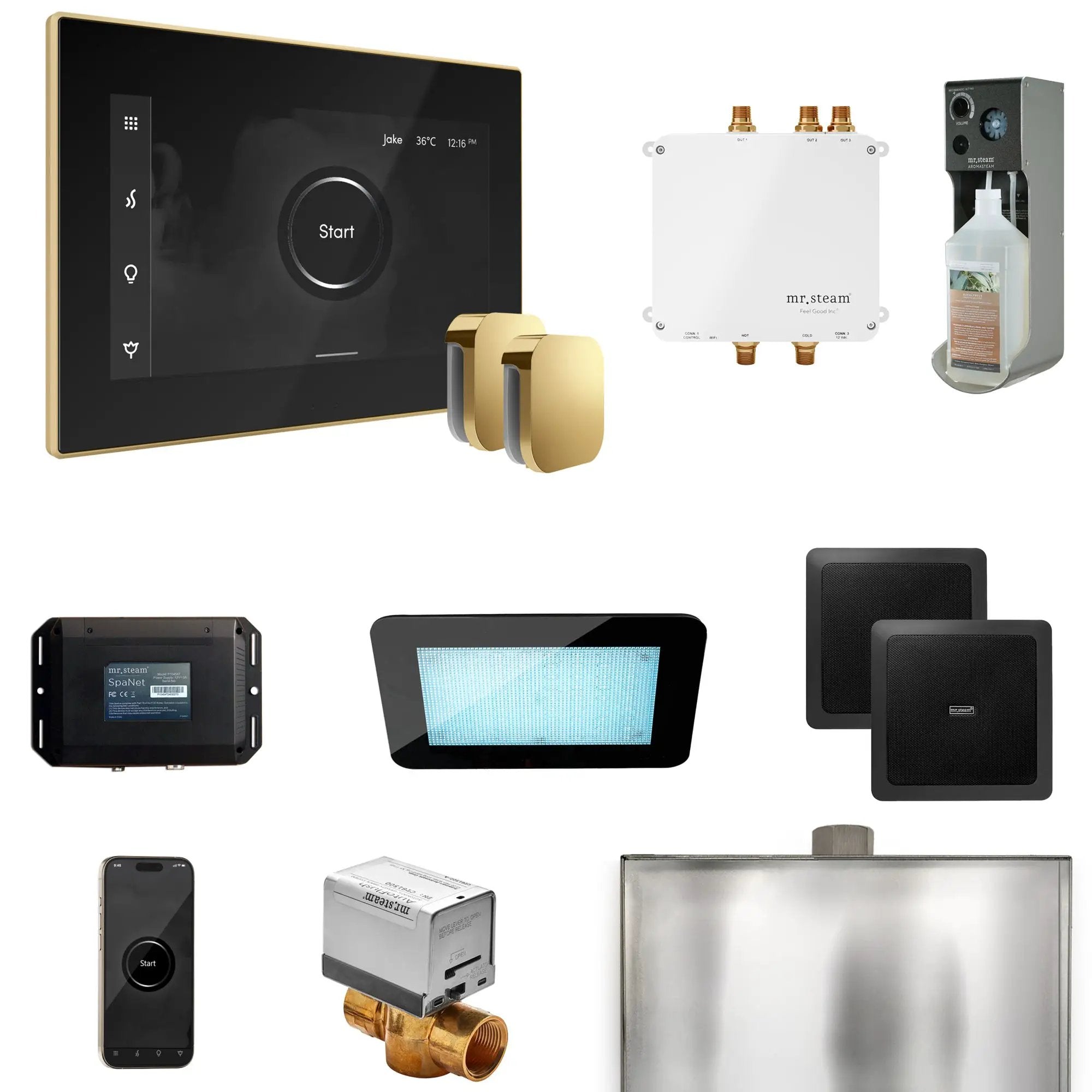 Mr Steam Bliss Max Steam Shower Control Package with iSteamX Control and Steamhead by Mr Steam