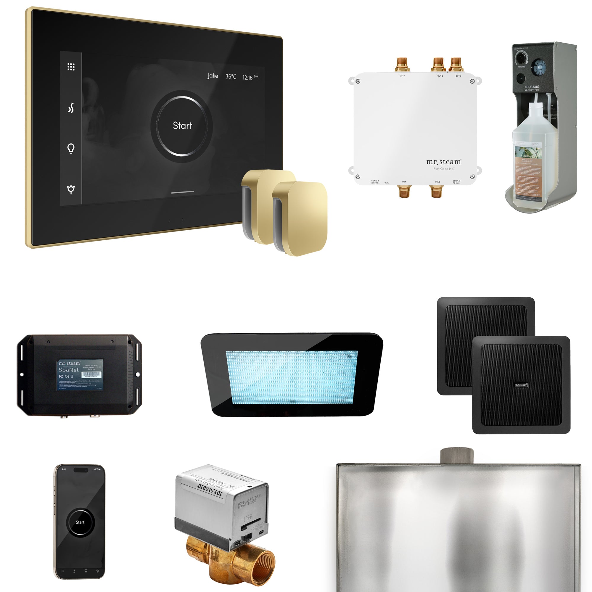 Mr Steam Bliss Max Steam Shower Control Package with iSteamX Control and Steamhead