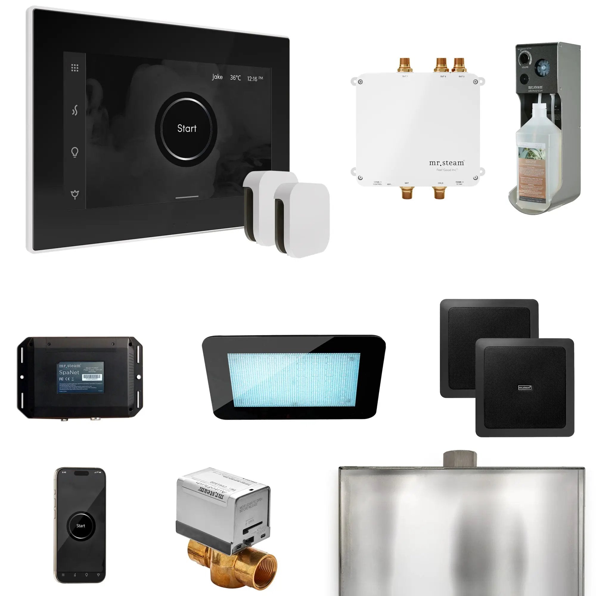 Mr Steam Bliss Max Steam Shower Control Package with iSteamX Control and Steamhead by Mr Steam