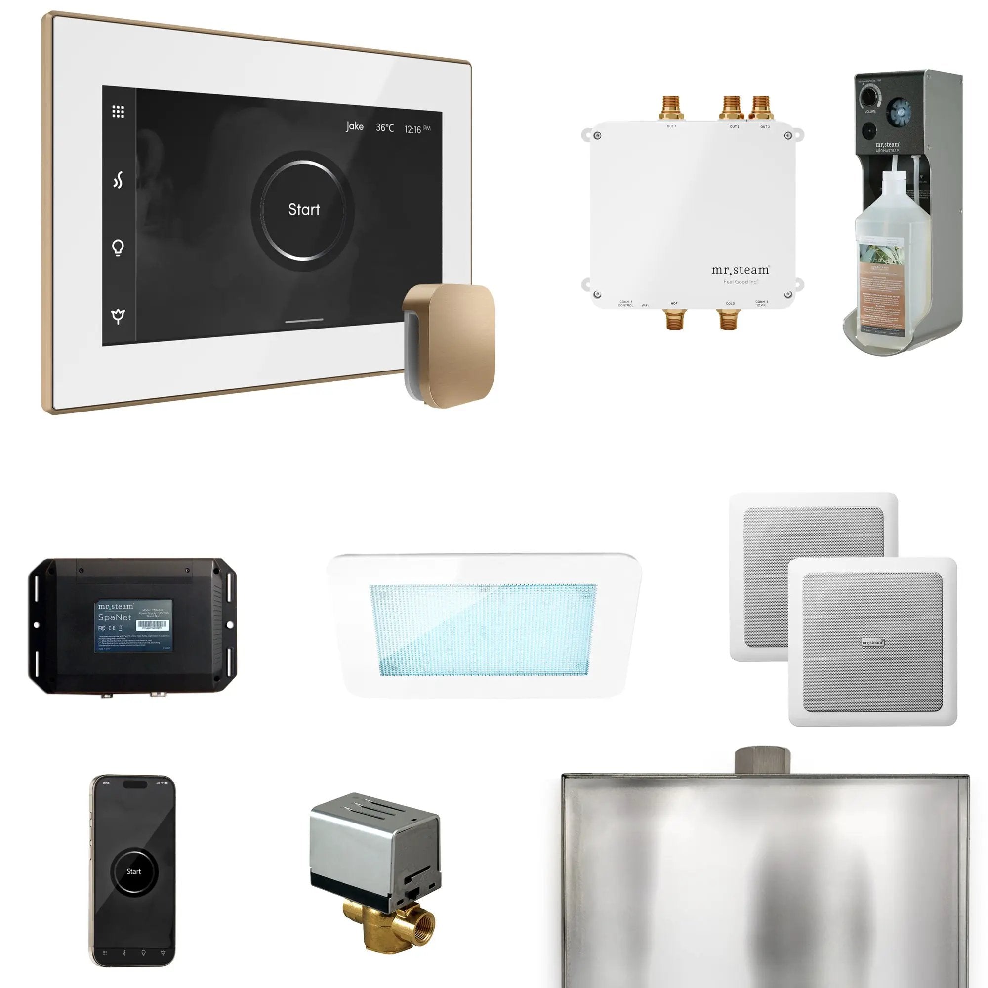 Mr Steam Bliss Steam Shower Control Package with iSteamX Control and Steamhead by Mr Steam