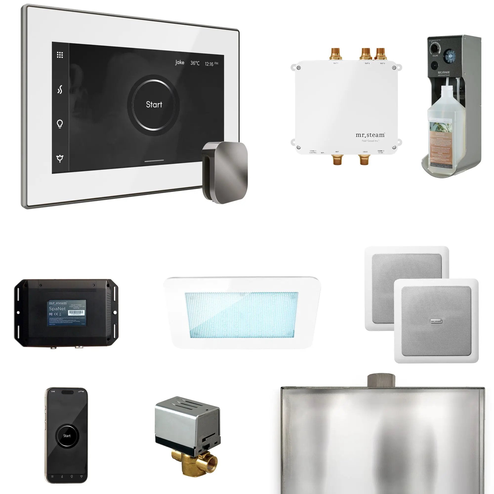 Mr Steam Bliss Steam Shower Control Package with iSteamX Control and Steamhead by Mr Steam