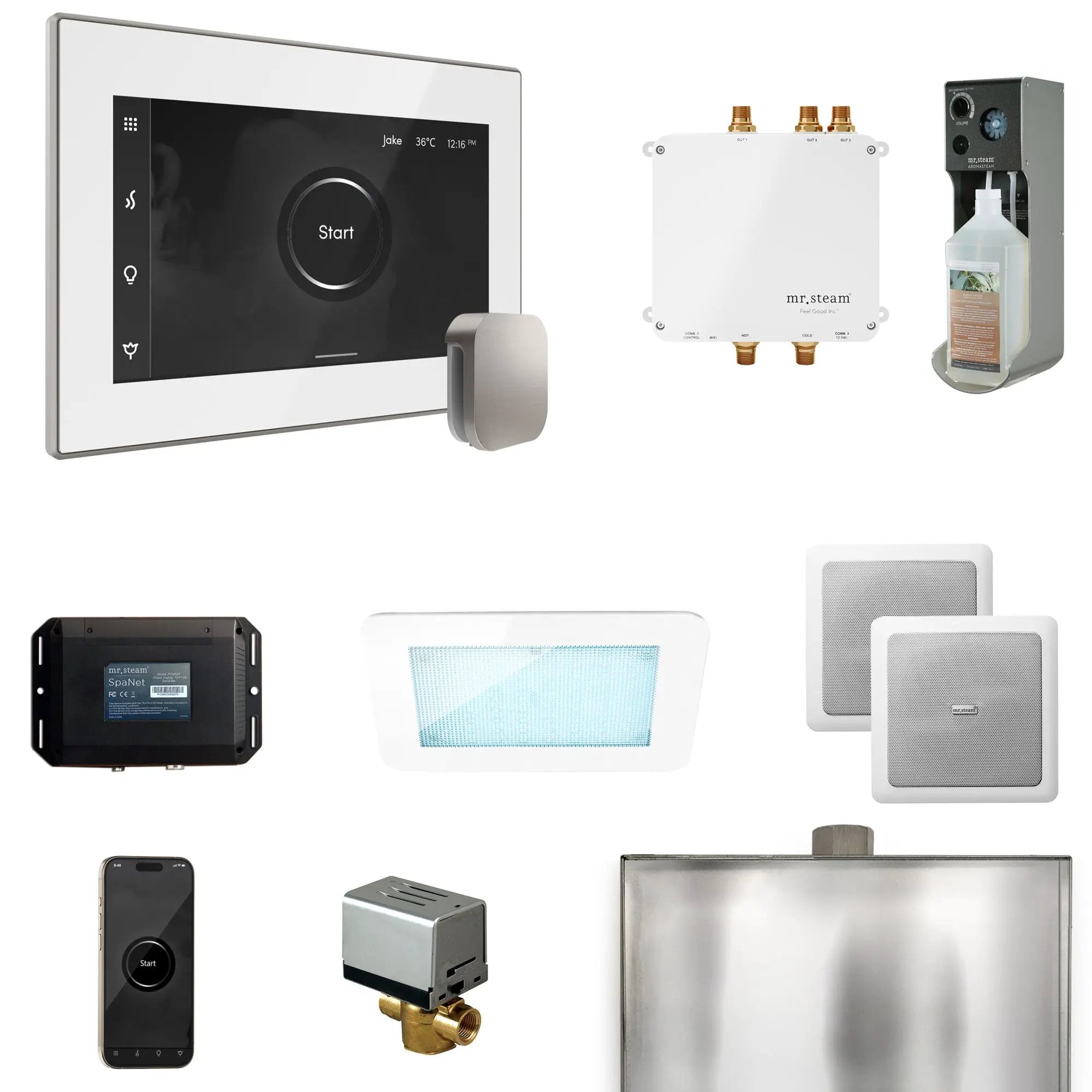 Mr Steam Bliss Steam Shower Control Package with iSteamX Control and Steamhead by Mr Steam