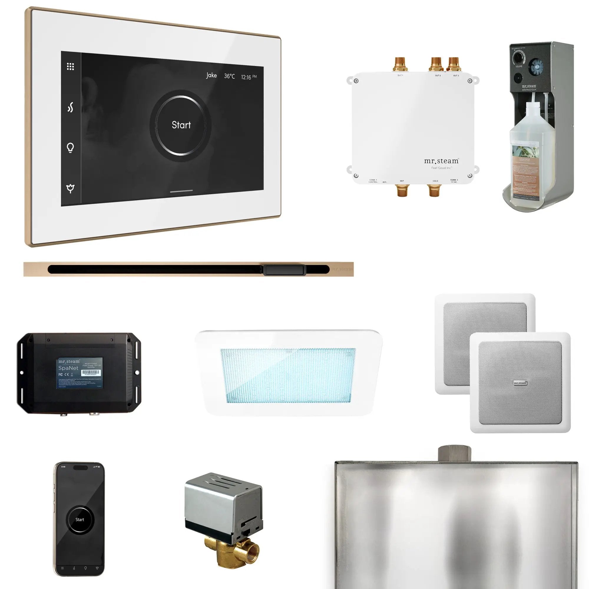 Mr Steam Bliss Steam Shower Control Package with iSteamX Control and Linear Steamhead by Mr Steam