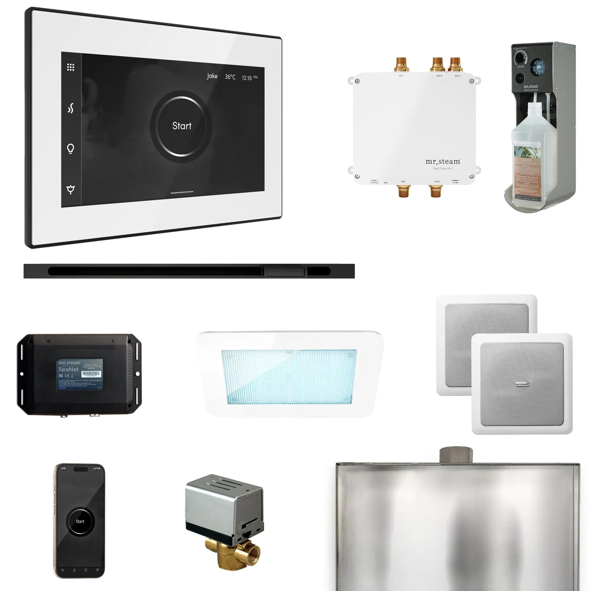Mr Steam Bliss Steam Shower Control Package with iSteamX Control and Linear Steamhead by Mr Steam