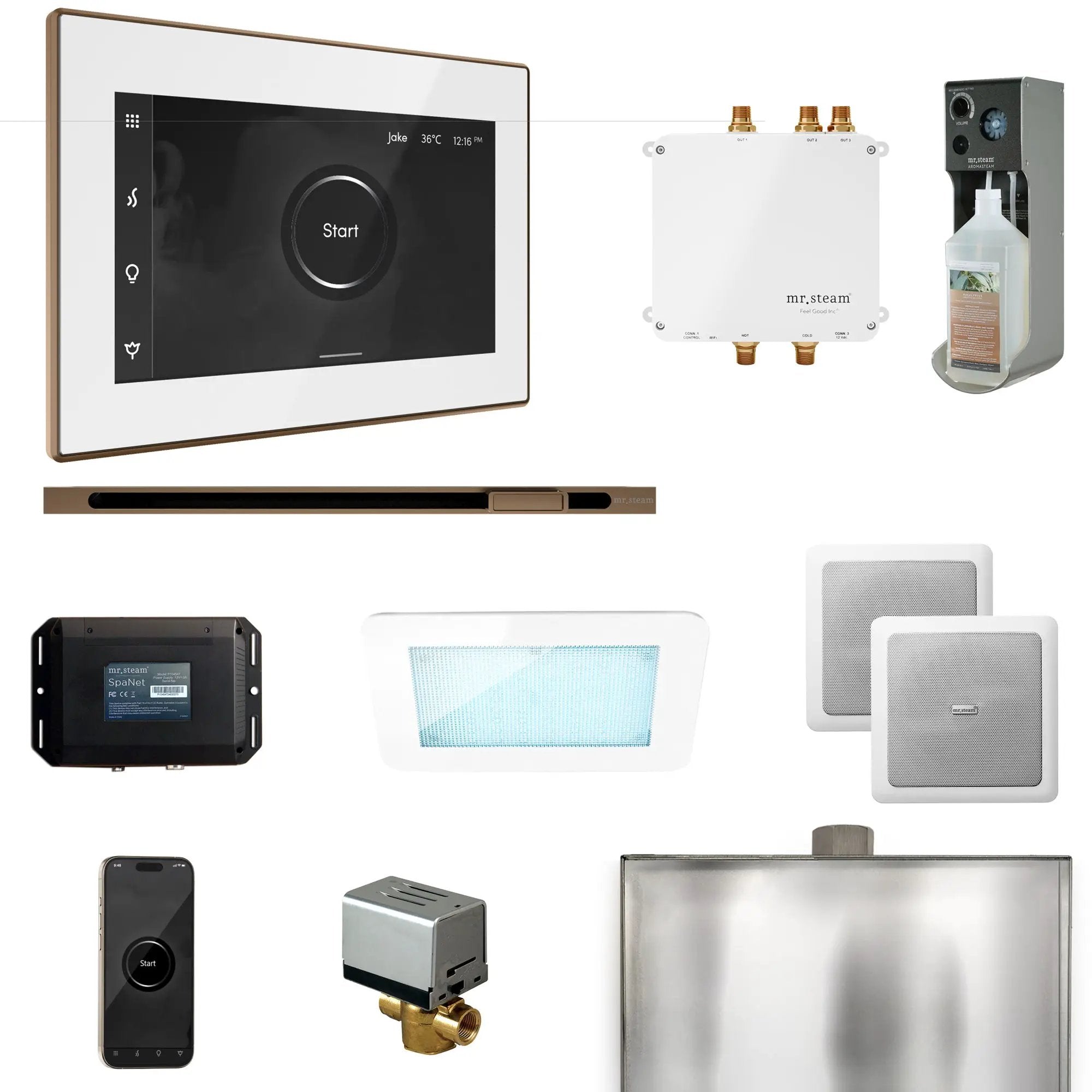 Mr Steam Bliss Steam Shower Control Package with iSteamX Control and Linear Steamhead by Mr Steam